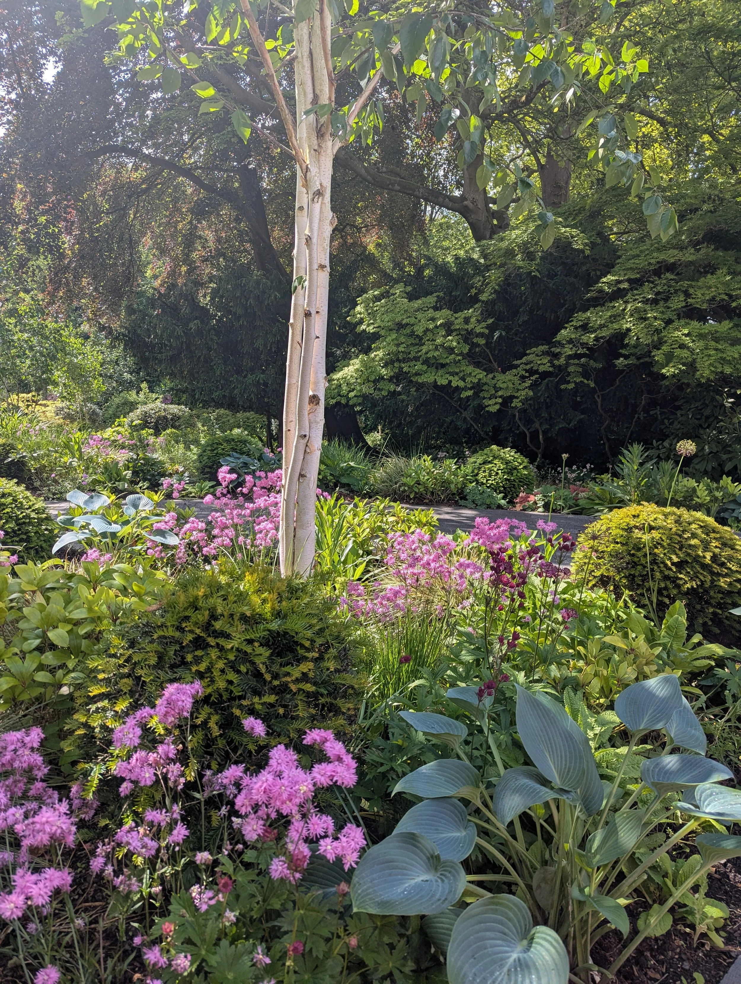 Professional garden maintenance and  design by Toby's Gardens in Harrogate & Leeds