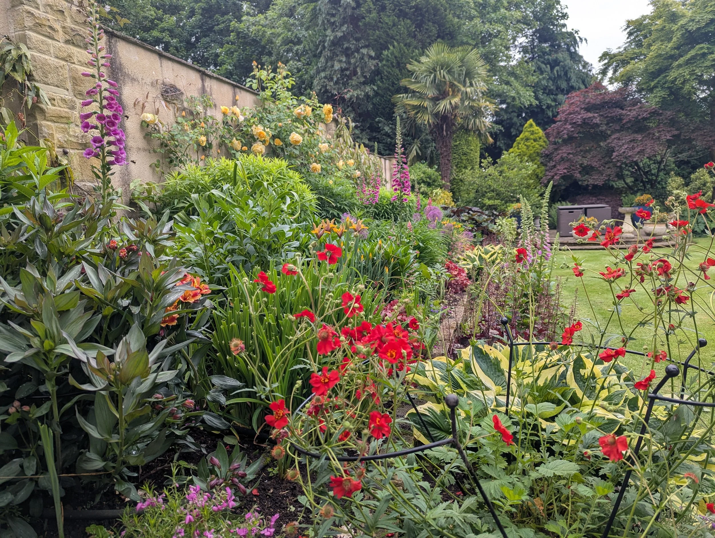 Professional garden maintenance by Toby's Gardens in Harrogate
