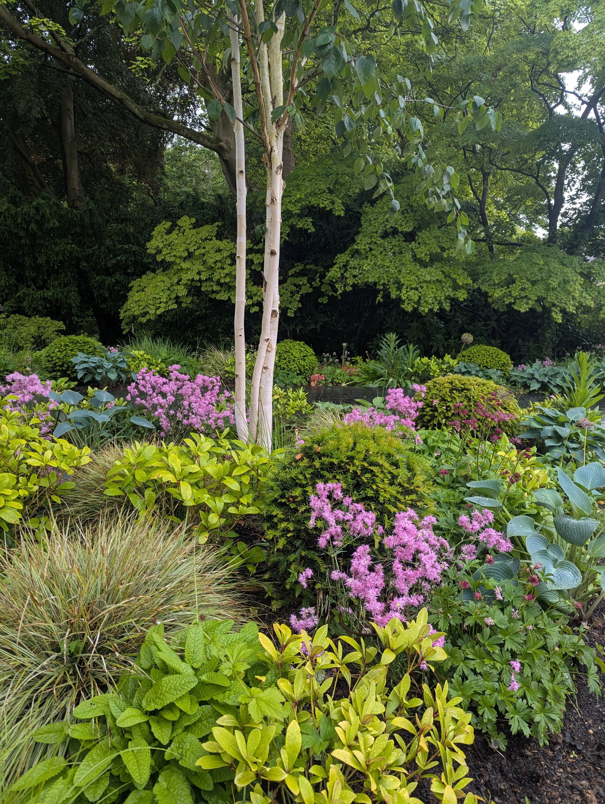 Professional wildlife garden design by Harrogate gardener