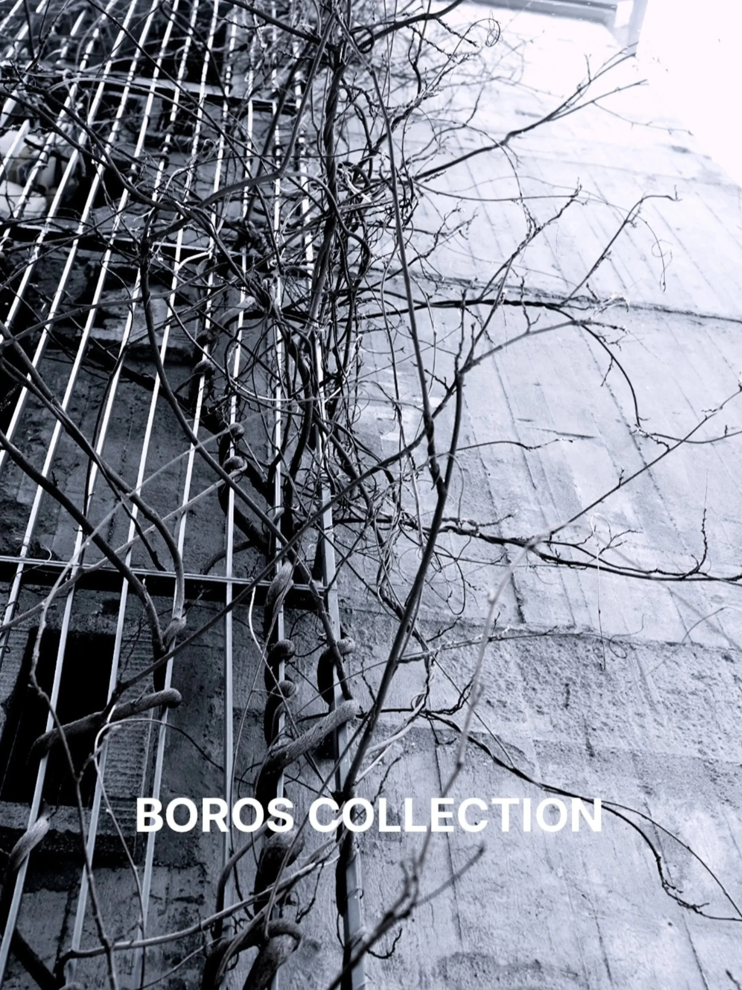 Boros Collection / Concept Project 



