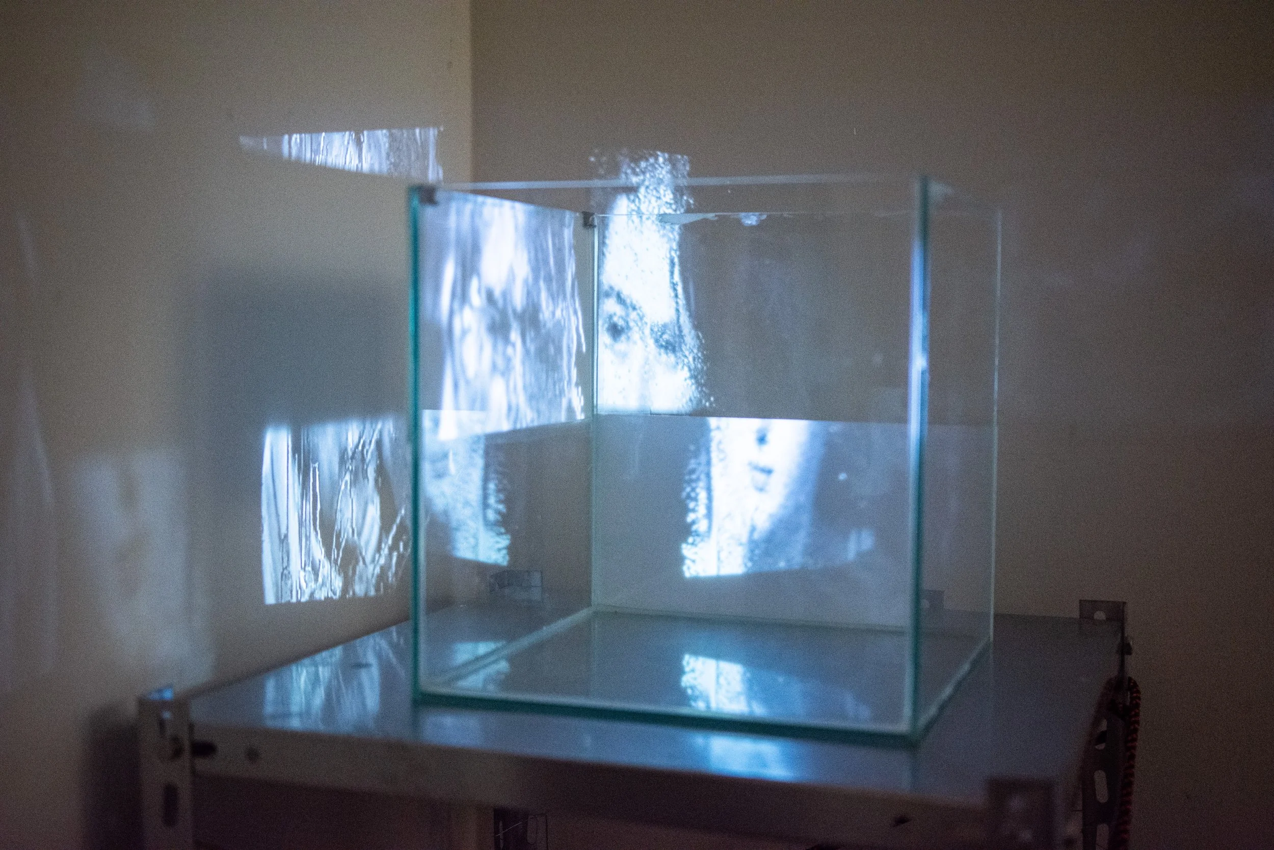 Conceived out of a simple but urgent need: to build something lasting in a city where creative spaces constantly disappear. It is a home for collaboration, for experimentation, and for the possibility to create something that matters.

Harzer Straße 