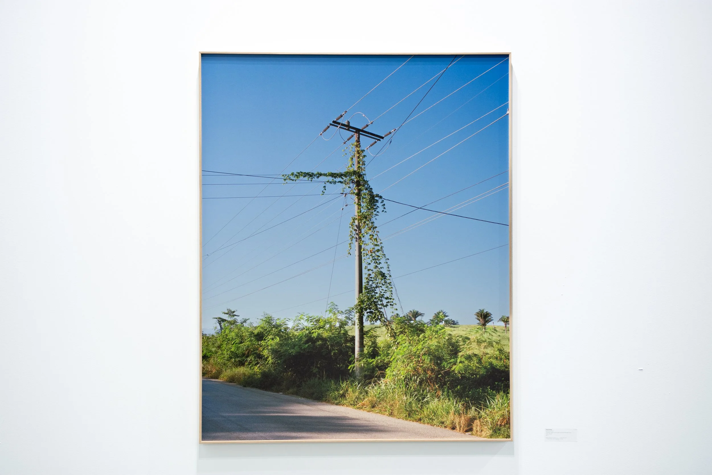 ARCO is one of Europe’s leading contemporary art fairs, held annually in Madrid and bringing together galleries, artists, and collectors from around the world. 

I was commissioned to photograph selected works presented at the fair and to conduct int