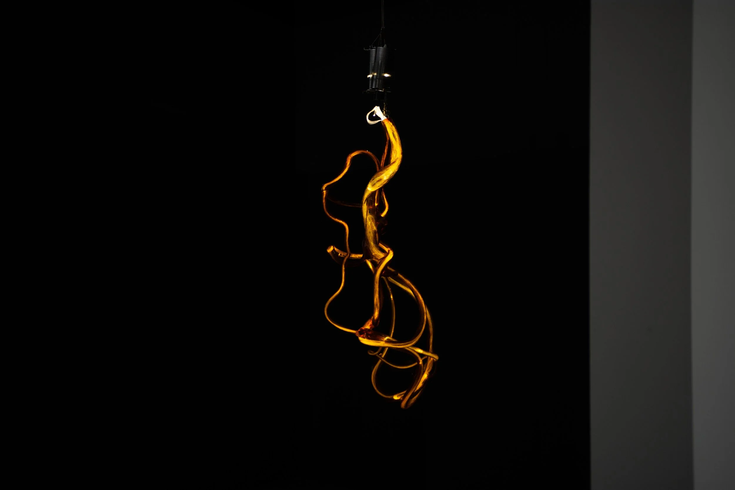 ARCO is one of Europe’s leading contemporary art fairs, held annually in Madrid and bringing together galleries, artists, and collectors from around the world. 

I was commissioned to photograph selected works presented at the fair and to conduct int