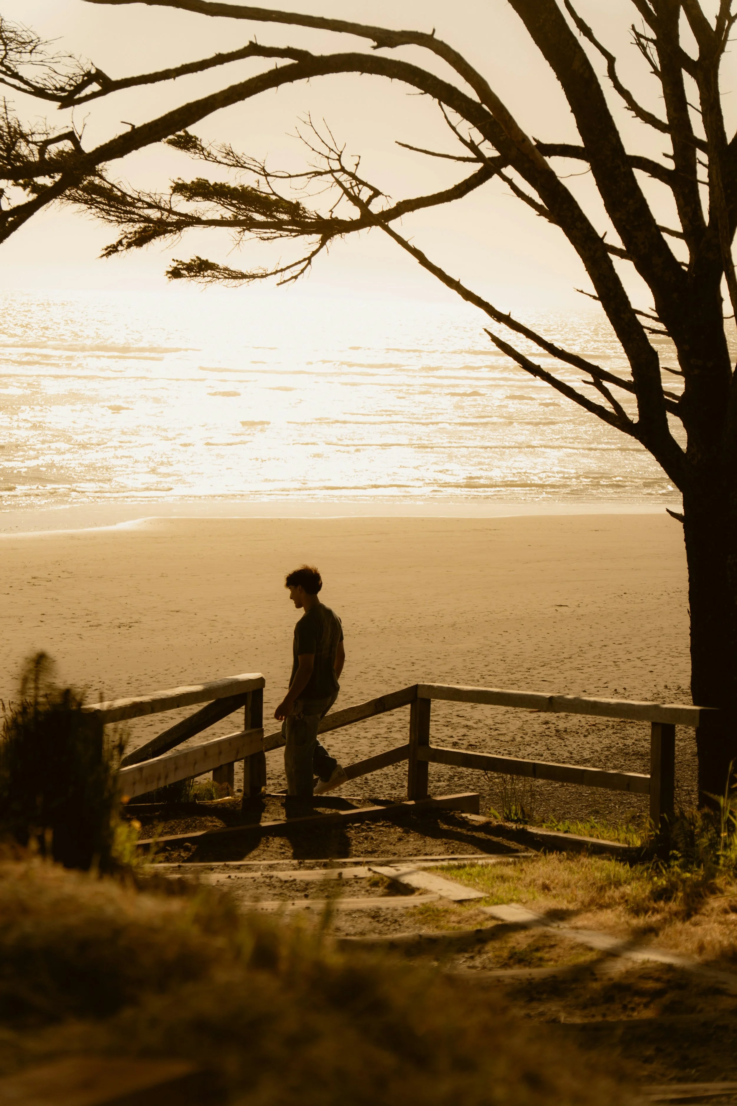 Une personne se tient sur un petit sentier en bois près d'une falaise avec vue sur la plage et l'océan au coucher du soleil, à côté d'un arbre nu.
