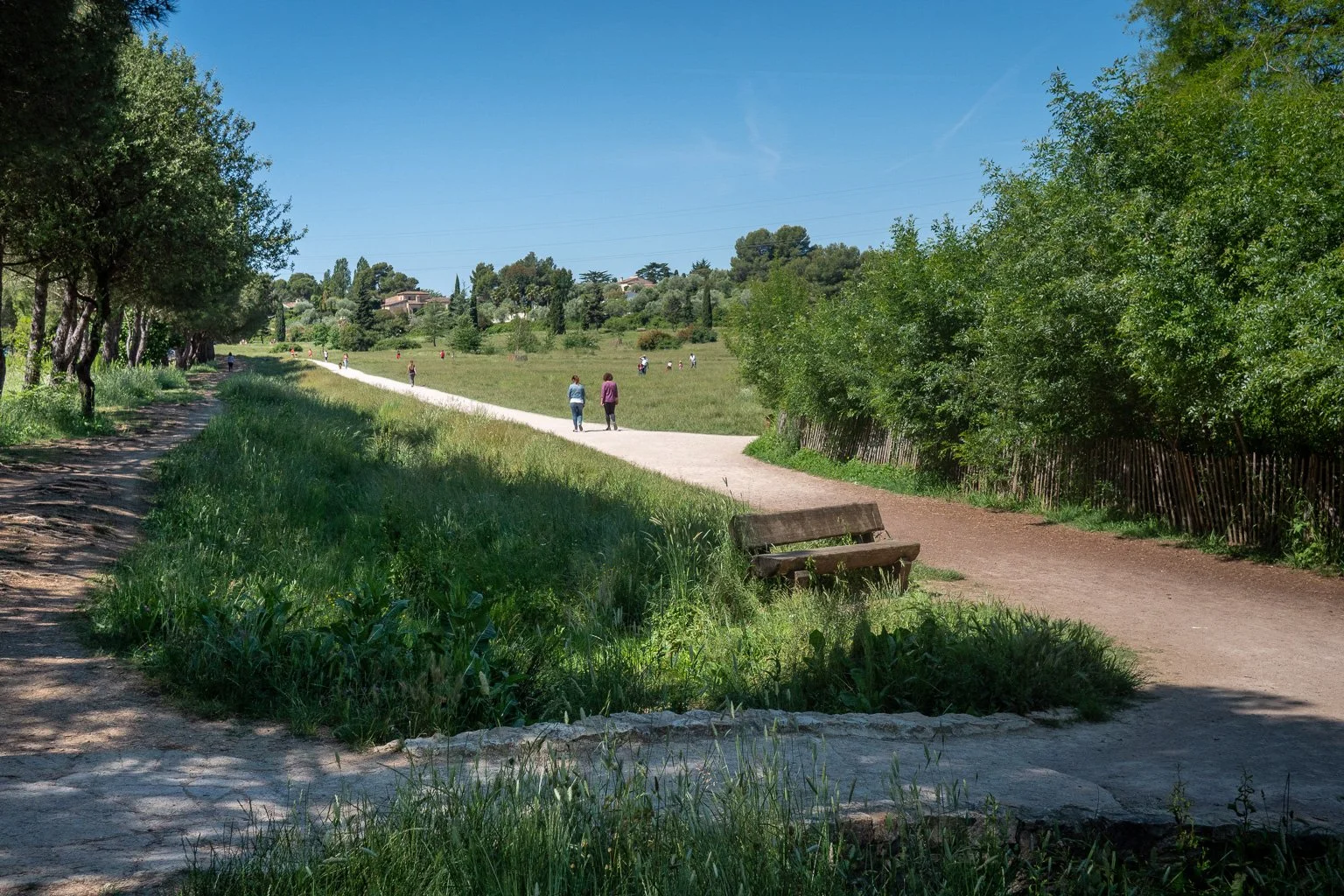 Sentier de parc avec des arbres, un banc en bois, et des personnes se promenant sous un ciel bleu clair.