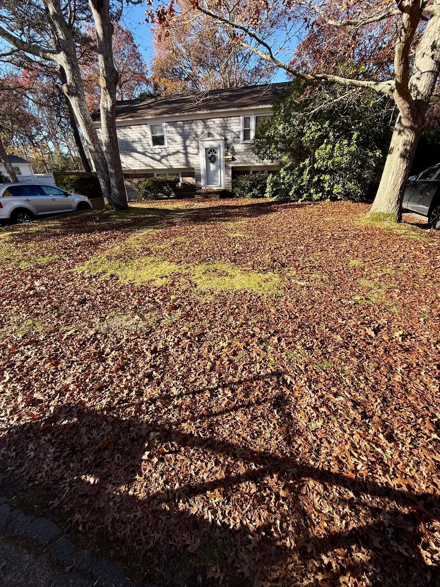 Quick leaf clean up today. &ldquo;At the end of the day, the day gotta end&rdquo; ☘️🌕