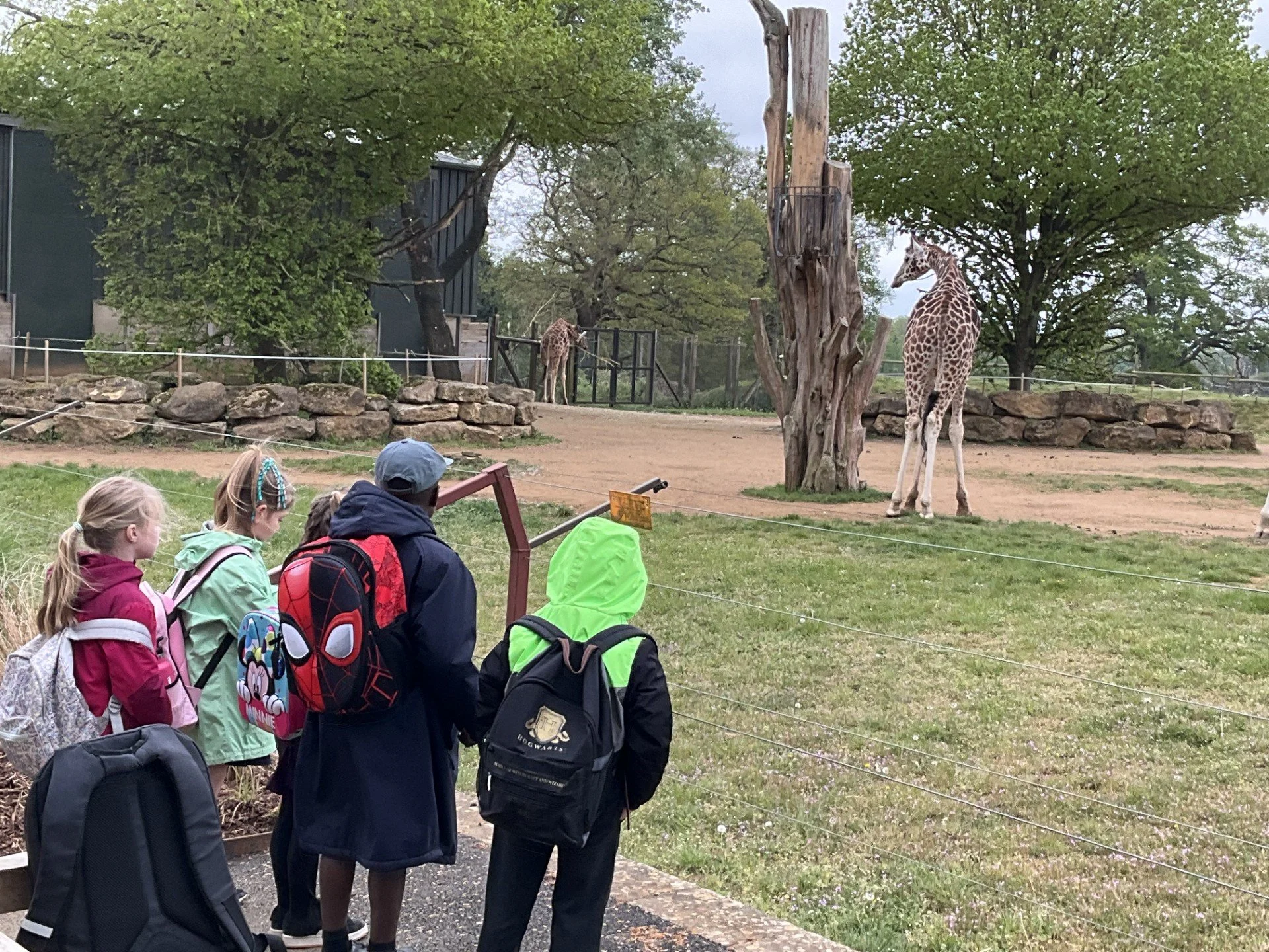 Cotswold Wildlife Park