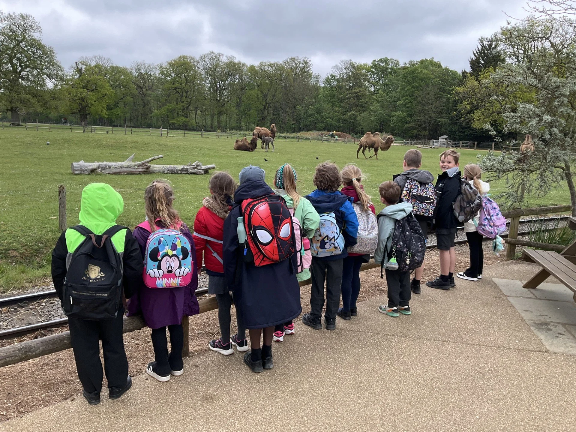 Cotswold Wildlife Park