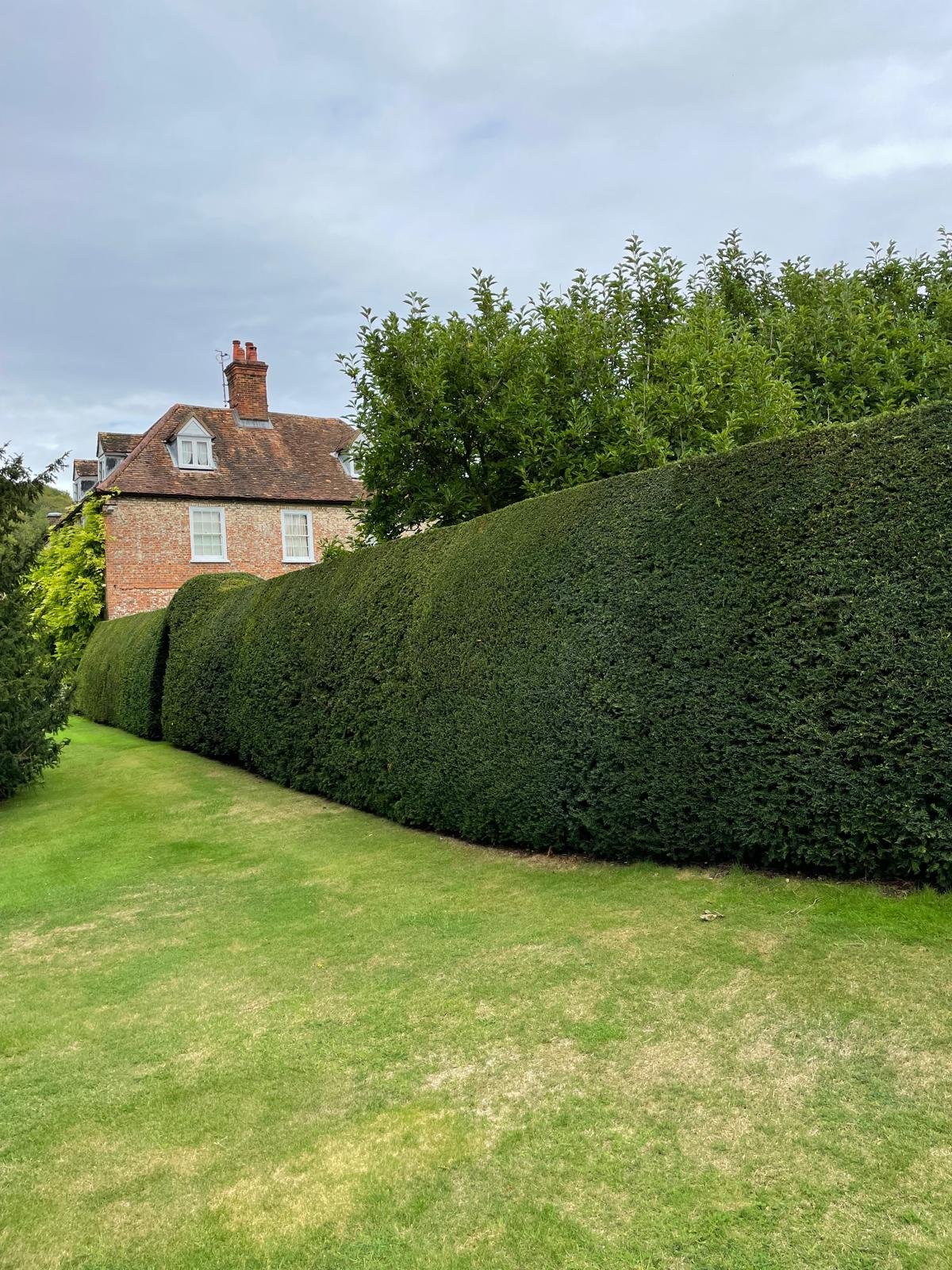 A well-maintained lawn with neatly trimmed hedges and trees, and a brick house with a pitched roof in the background.