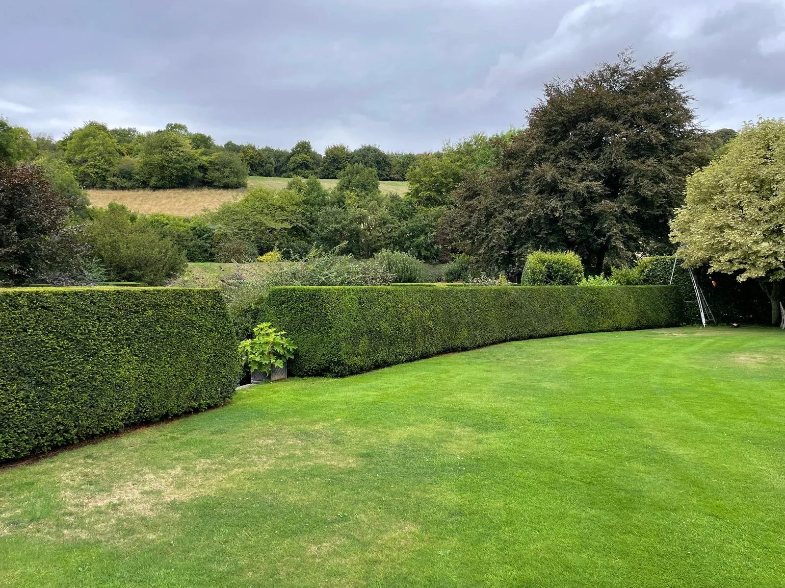 A well-maintained backyard with a green lawn, trimmed hedges, and large trees under a cloudy sky.