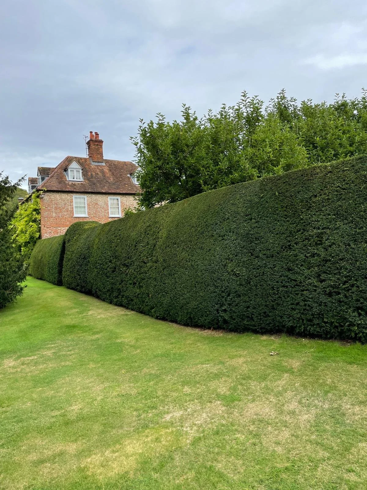 A neatly trimmed green hedge border with a brick house and trees in the background under a cloudy sky.