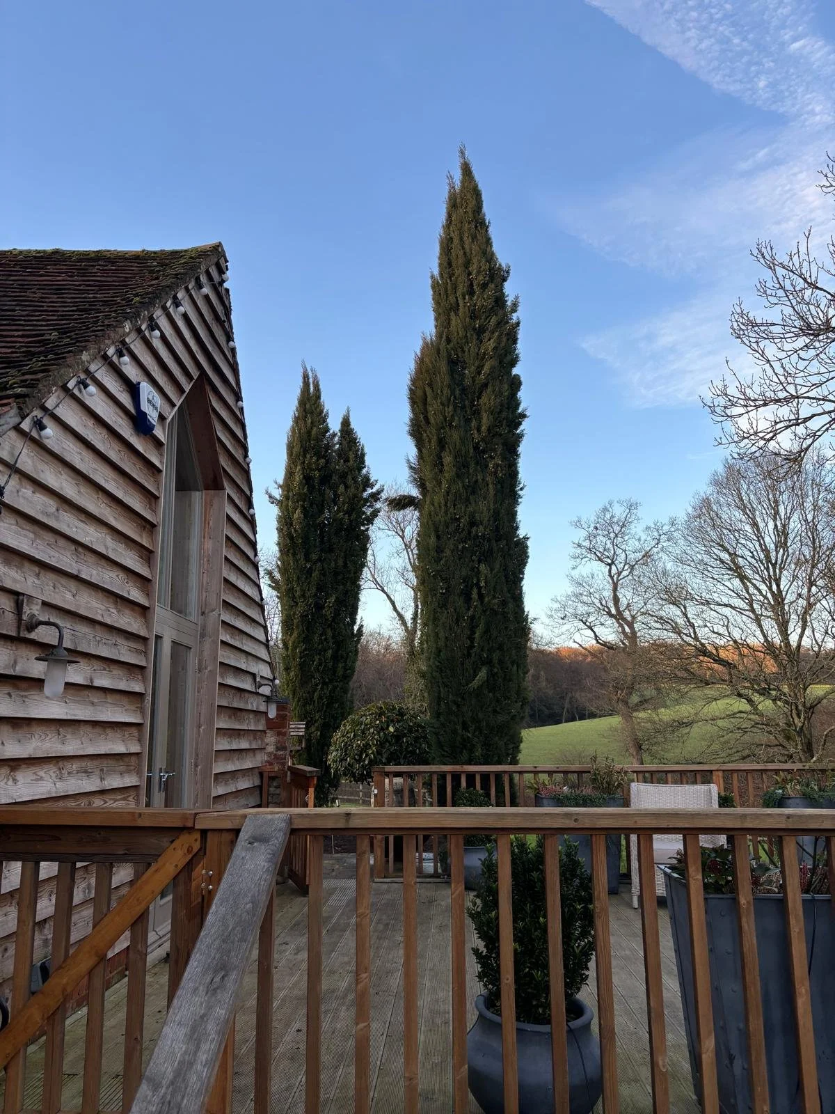 PHOTO-2026-02-12-22-21-32 4.jpg