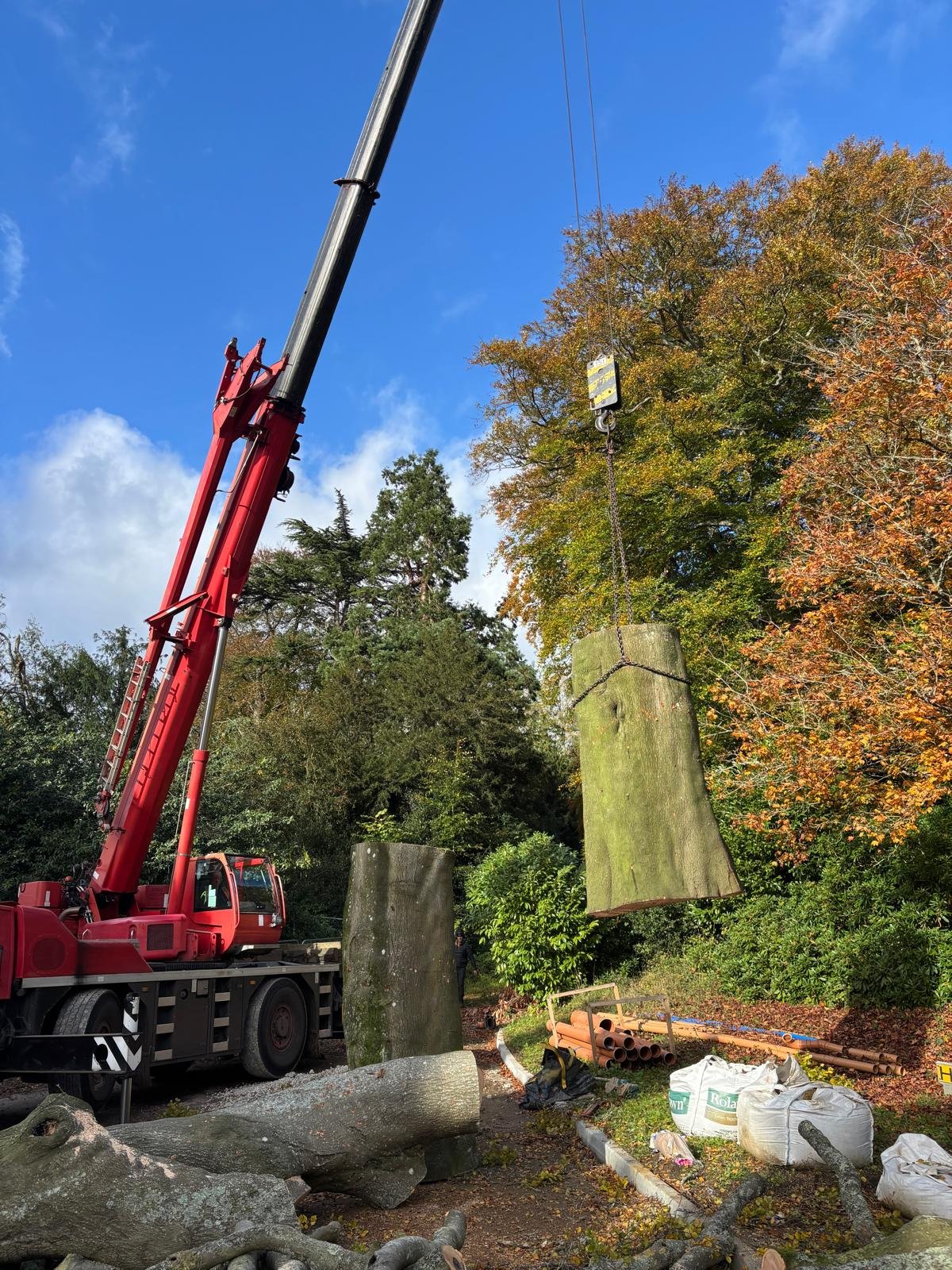 A large red crane lifting a tree trunk in a wooded area during daytime, with workshop materials and cut trees on the ground, and trees with fall foliage in the background.
