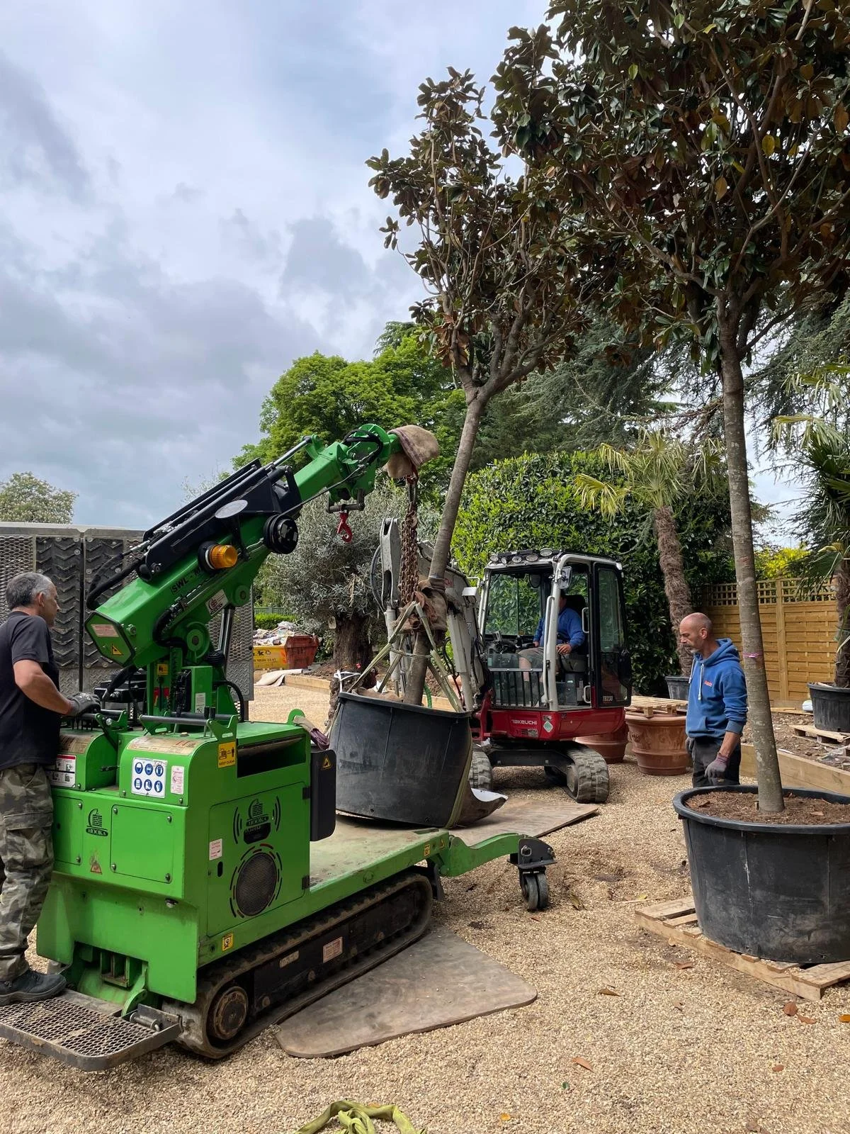 People planting a tree using a small excavator and a crane in a garden area with large pots and trees.