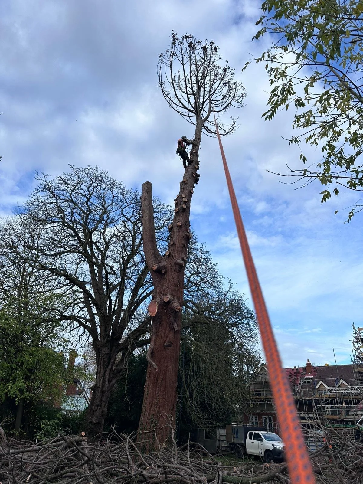 PHOTO-2026-02-12-22-12-11 8.jpg