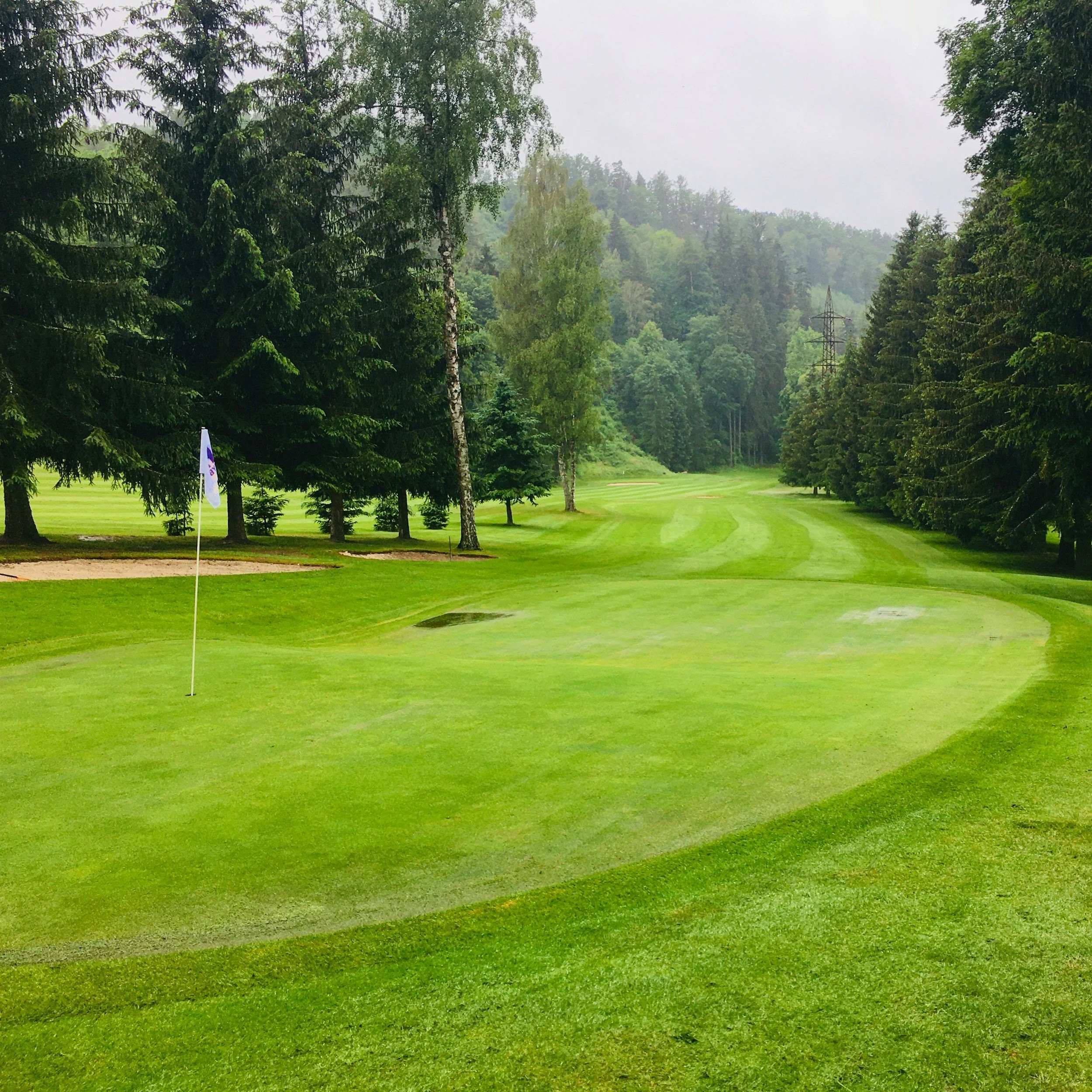 A lush green golf course with a flagstick on the putting green, sand bunkers, and surrounded by tall evergreen trees on a cloudy day.