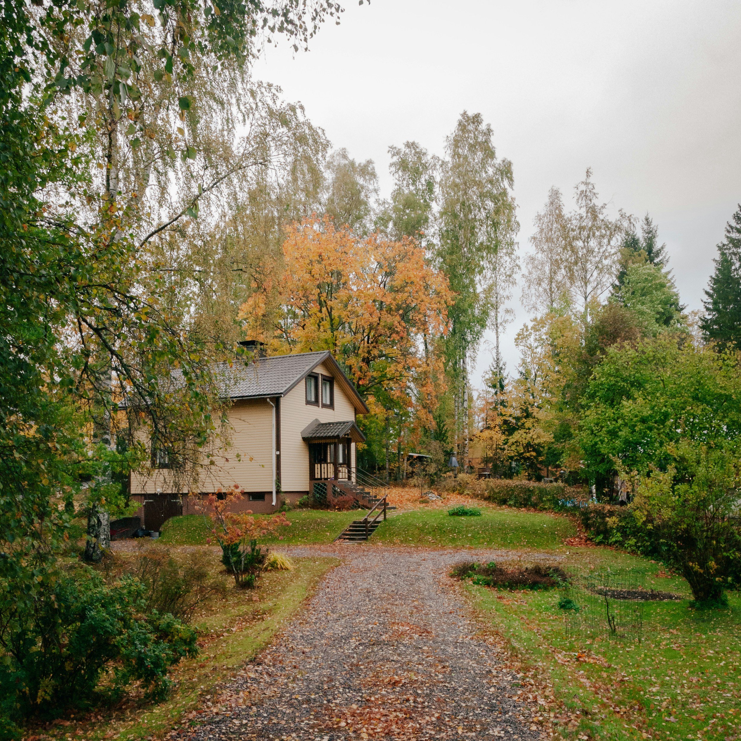 A house with a front porch and stairs surrounded by trees with autumn leaves, a gravel driveway, and a backyard garden in fall.