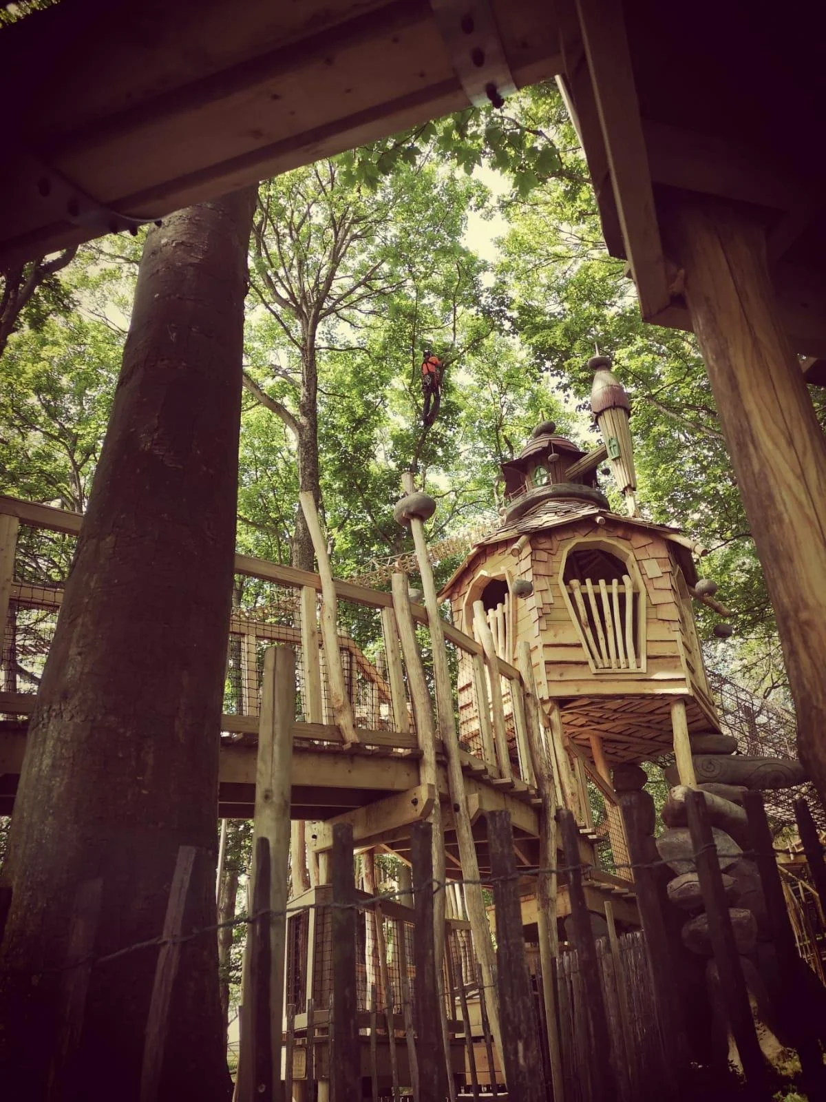 A person wearing safety gear climbing a tree on a high ropes course in a wooded area, with a wooden treehouse in the background.