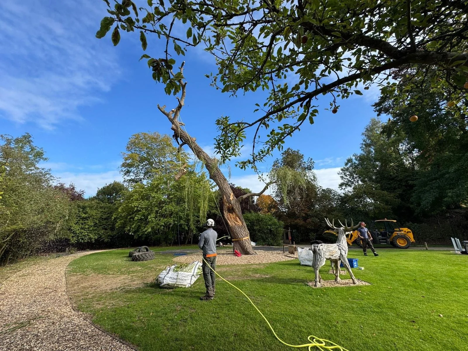 Workers trimming a large, leaning tree with a rope, while a decorative reindeer statue is nearby on a landscaped lawn under a blue sky with clouds.