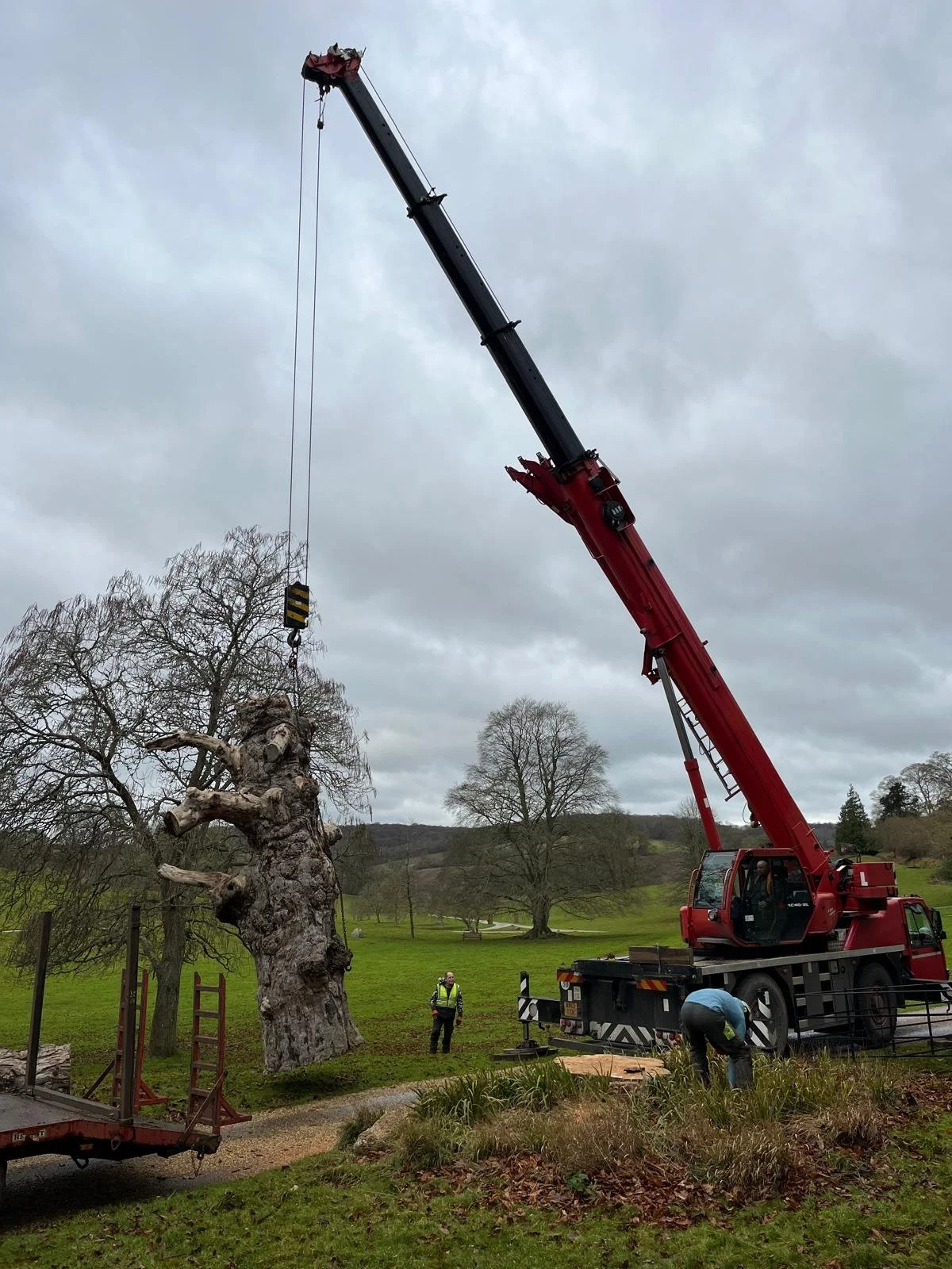 Stonor Park, Henley on Thames, Crane Removal, Tree Surgeon.jpg