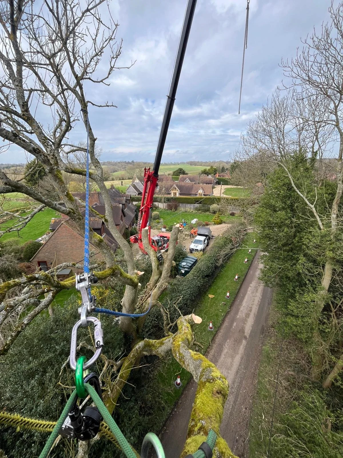 A tree trimming operation happening in a residential neighborhood with a crane lifting a person or equipment into a tree. The scene is viewed from above, with houses, vehicles, and a rural landscape in the background.