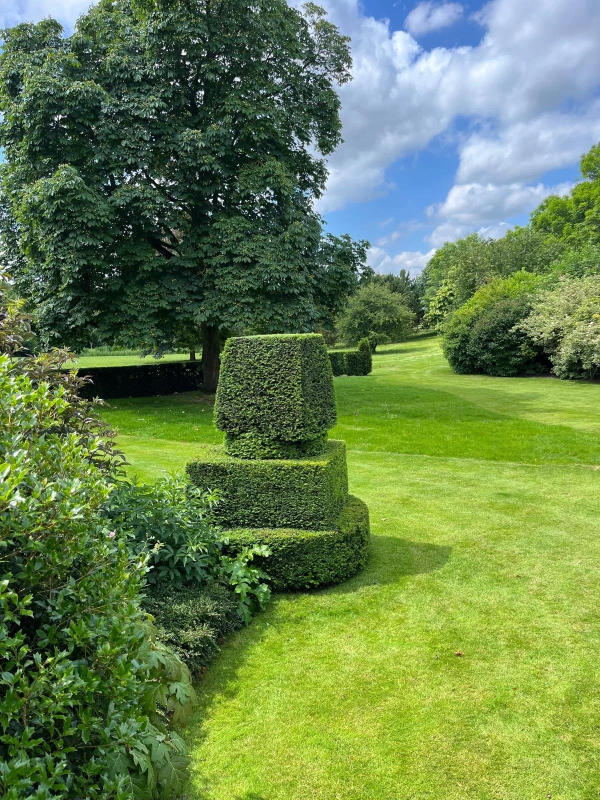 PHOTO-2026-02-12-22-36-22 39.jpg