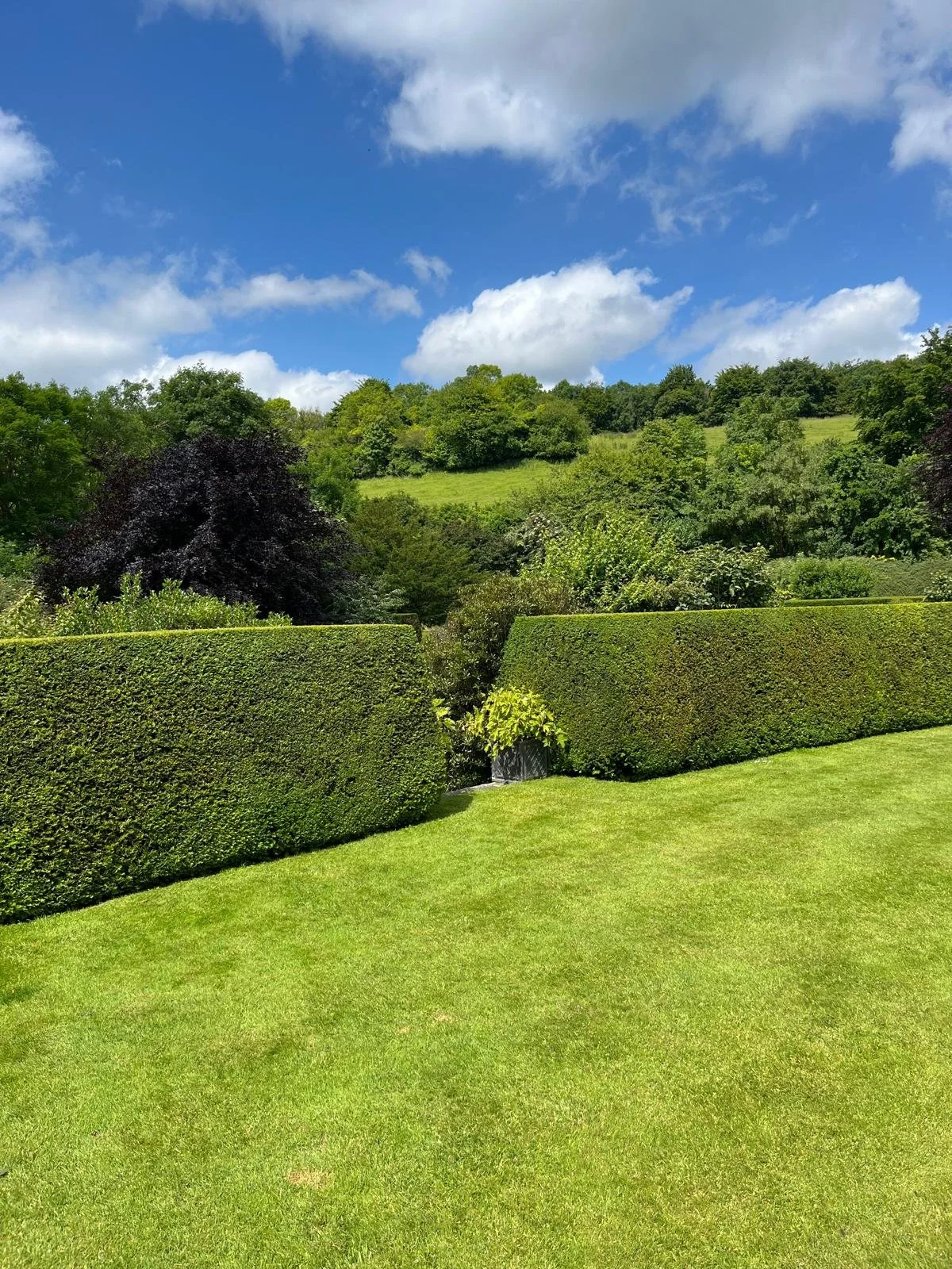 Well-maintained green lawn bordered by trimmed hedges, with a backdrop of lush green trees on a bright, partly cloudy day.