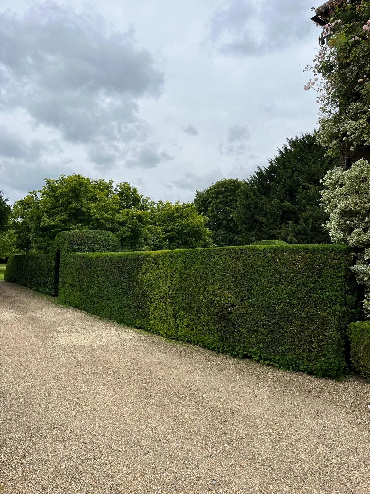 PHOTO-2026-02-12-22-36-22 25.jpg