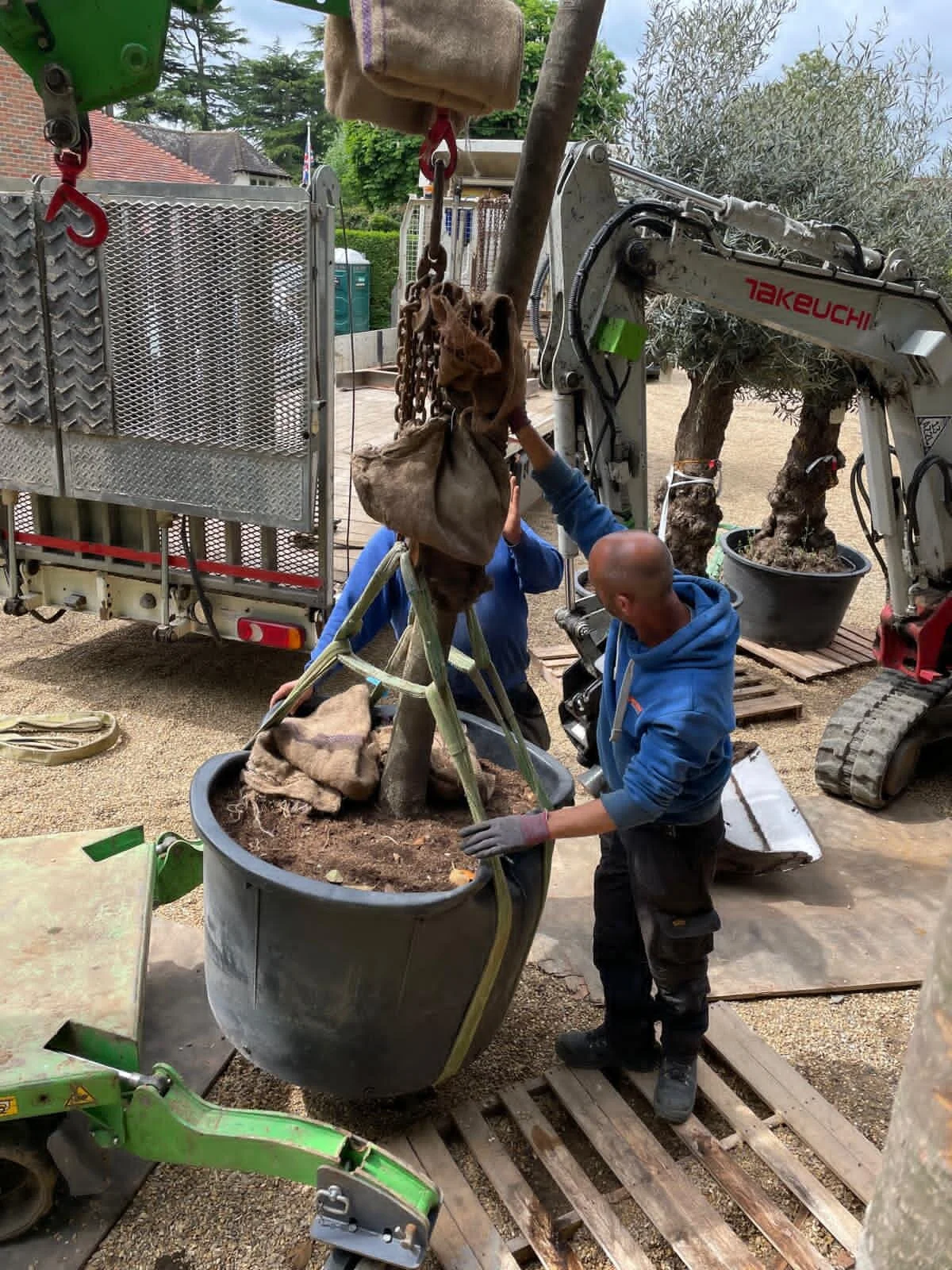Two workers planting a tree in a large black pot, using a crane to position the tree, with a small excavator and gardening tools nearby.