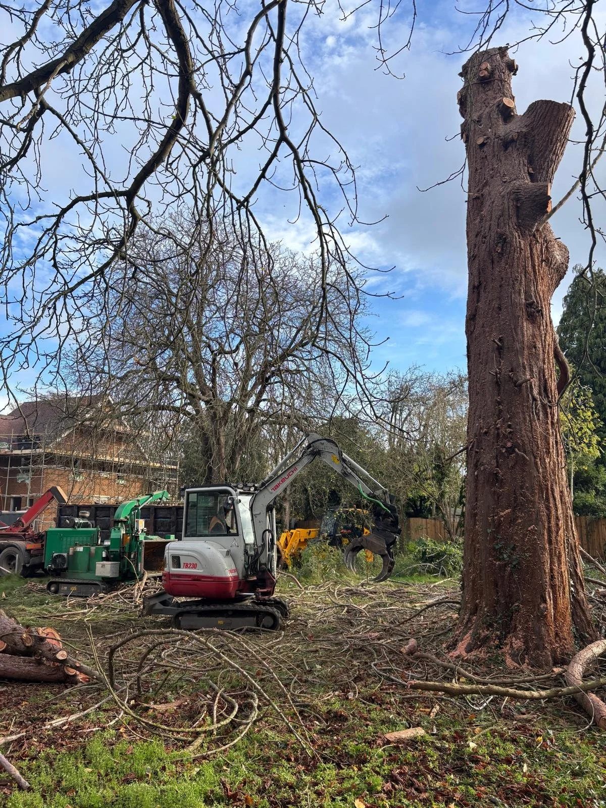 PHOTO-2026-02-12-22-12-11 1.jpg