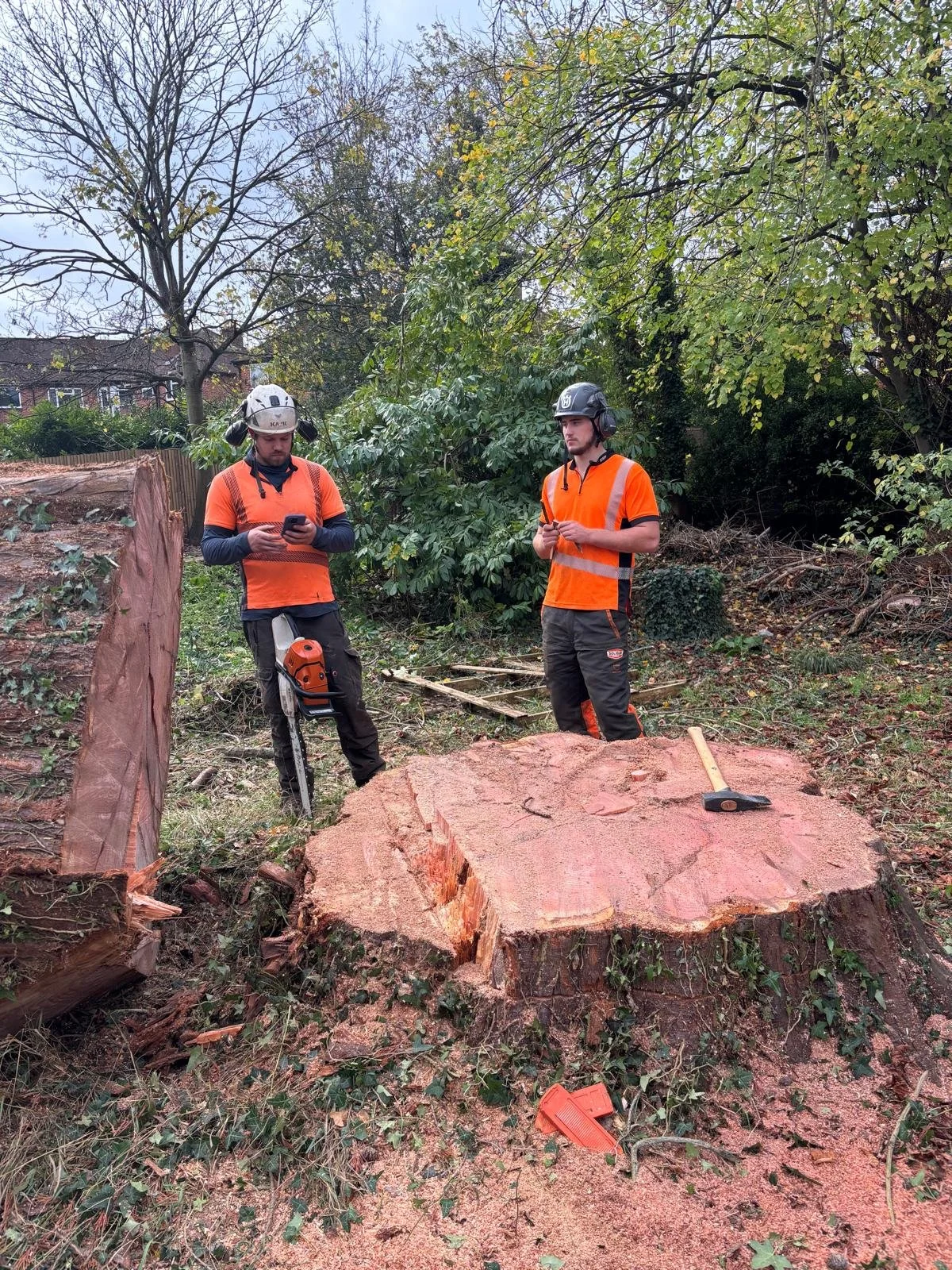 PHOTO-2026-02-12-22-12-11 4.jpg