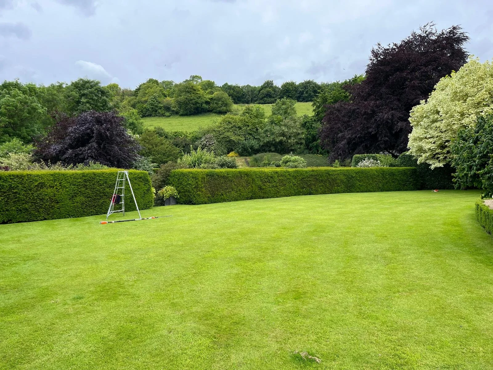 PHOTO-2026-02-12-22-36-22 27.jpg