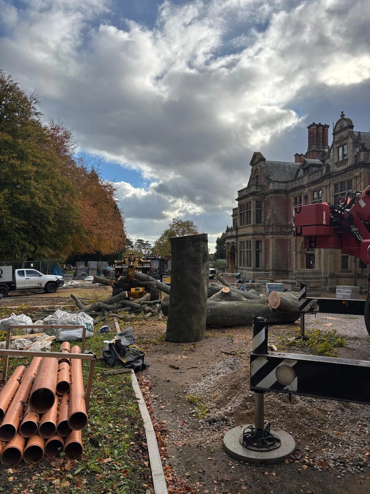 Nettlebed, Henley on Thames, Crane Removal, Arborist.jpg