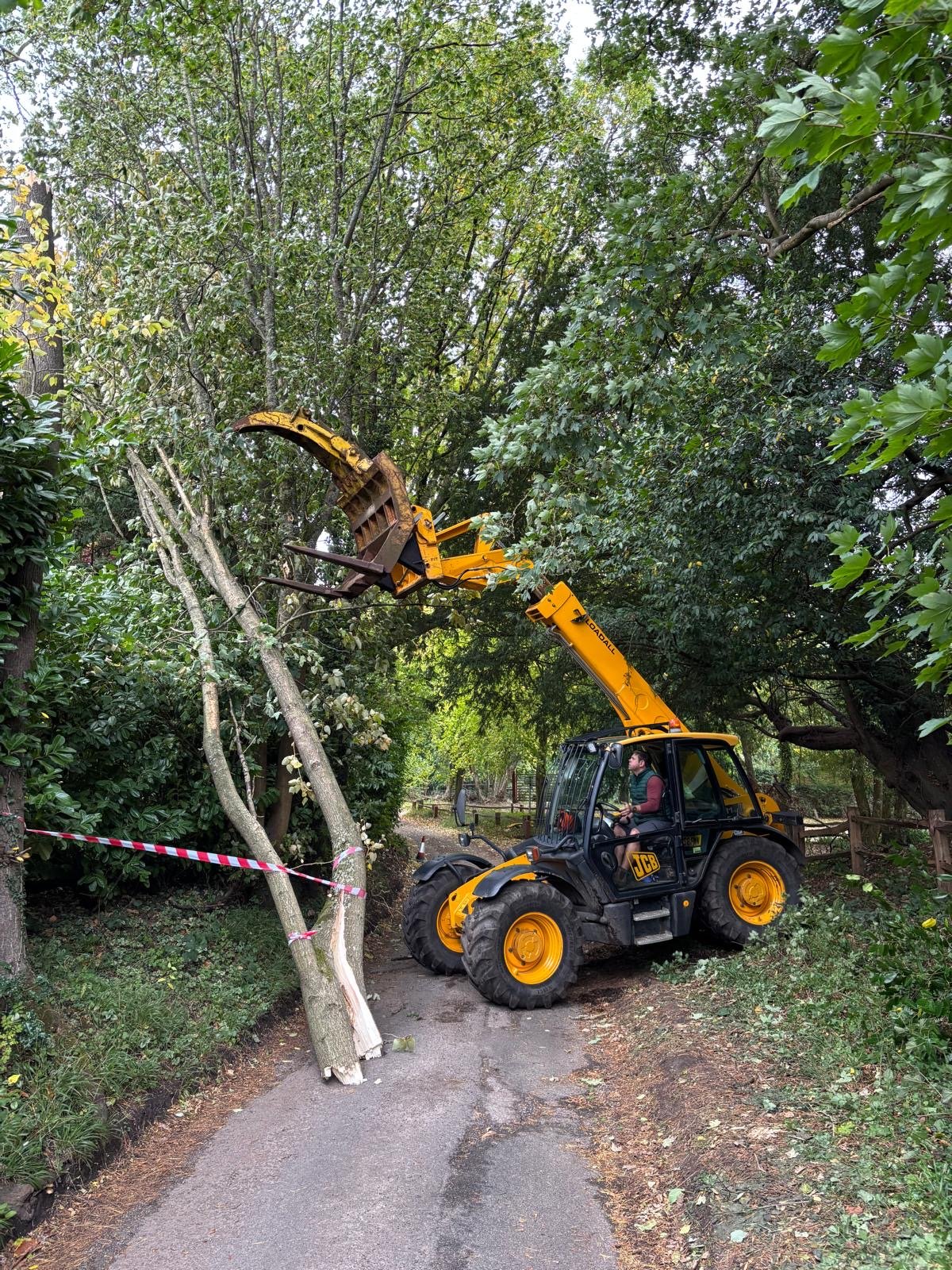 yellow loader moving fallen branch from the road