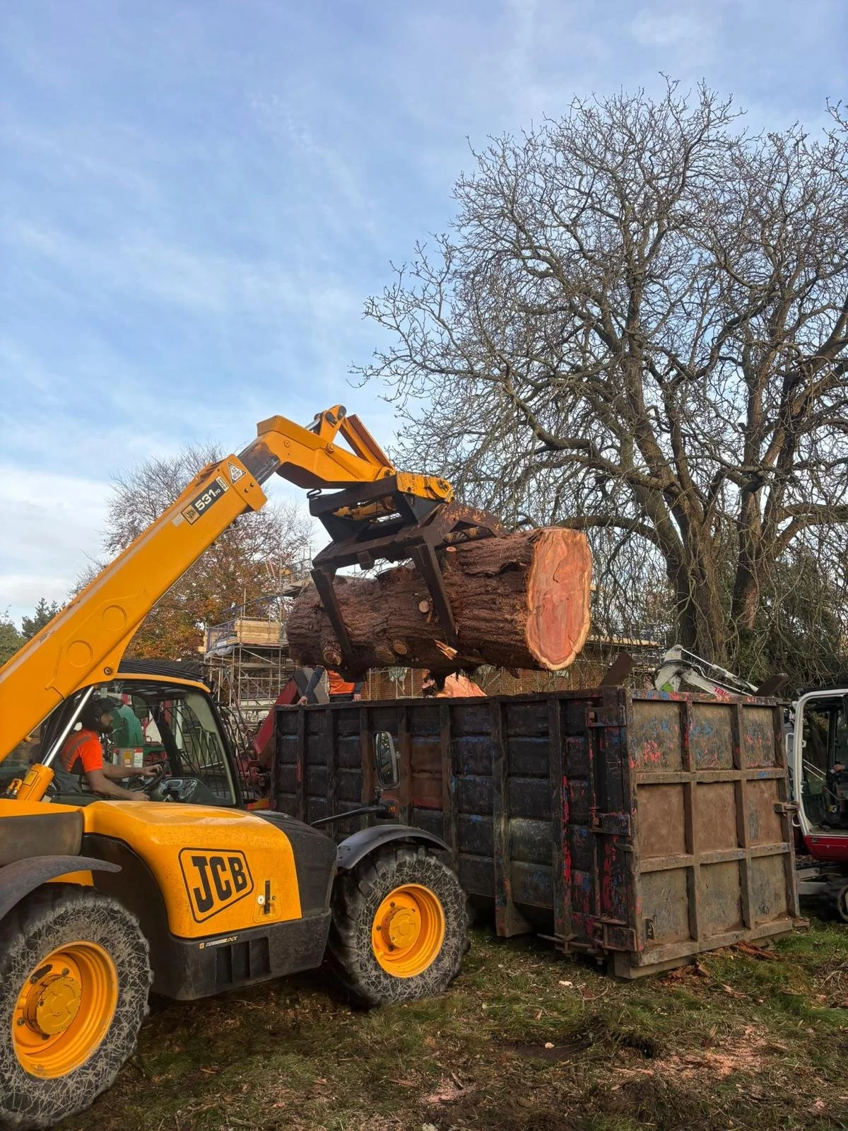 A yellow JCB forklift loading a large log into a truck at a construction site with trees and scaffolding in the background.