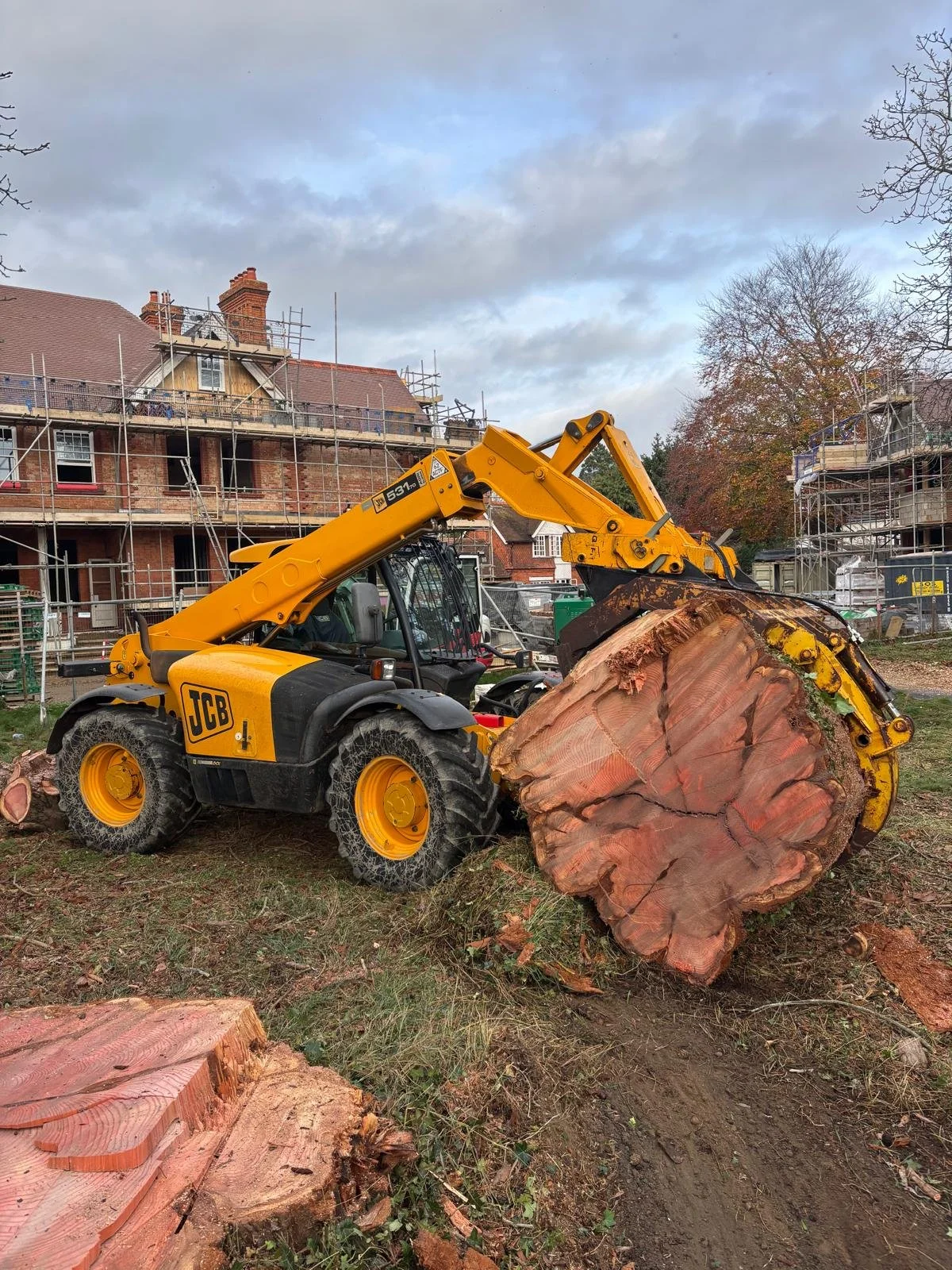 A yellow JCB front loader lifting a large fallen tree trunk, with nearby chopped smaller logs, at a construction site with houses under renovation and scaffolding in the background.