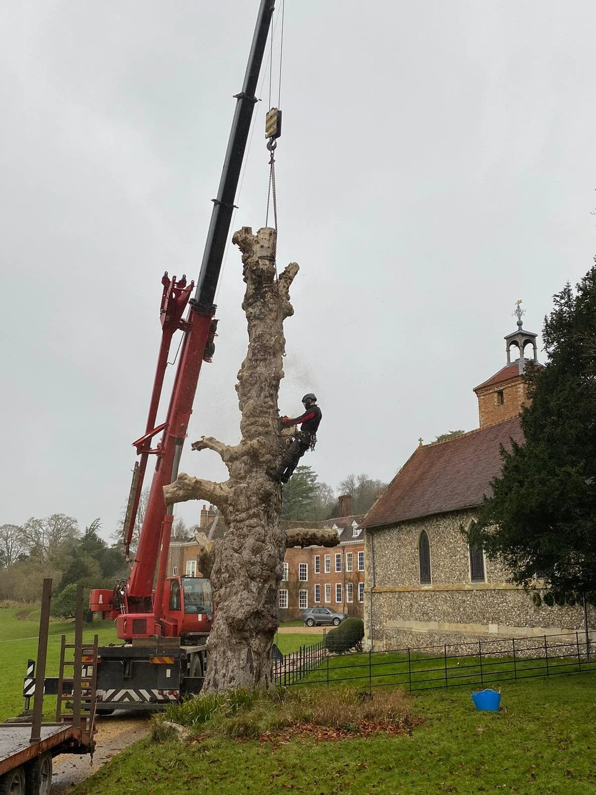 A worker in safety gear and helmet cutting a large tree trunk with a chainsaw using a crane to support the tree.