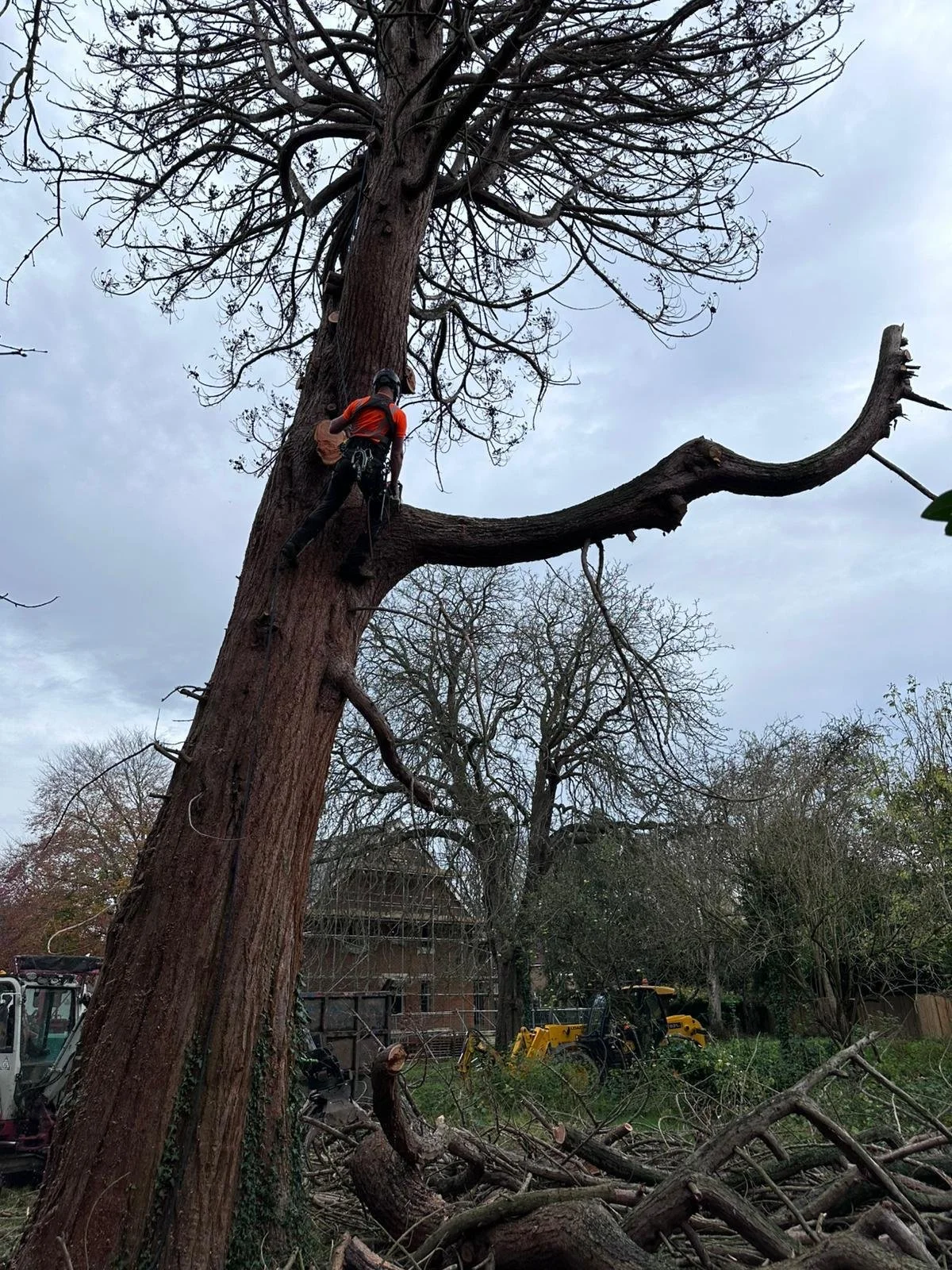 PHOTO-2026-02-12-22-12-11 10.jpg