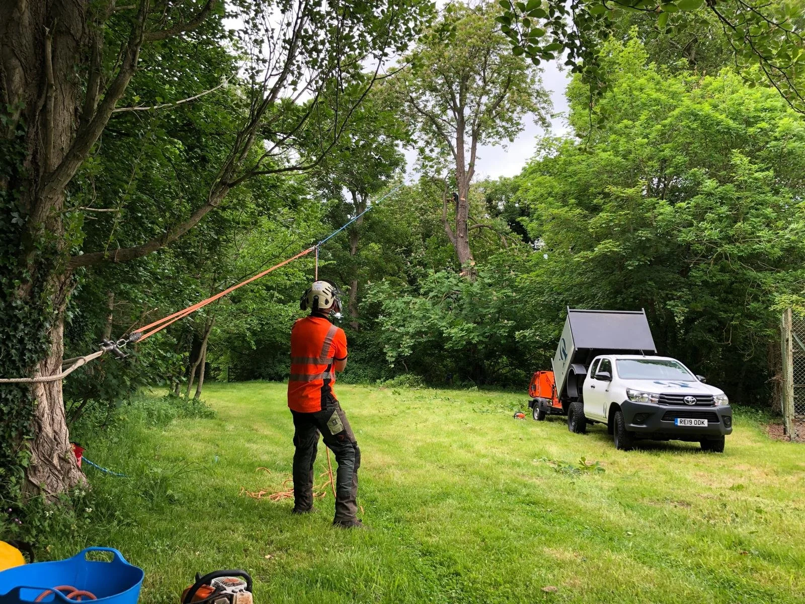 A worker wearing an orange shirt and a helmet is operating a zipline attached to the trees in a grassy area, with a utility truck parked nearby in a lush green park.