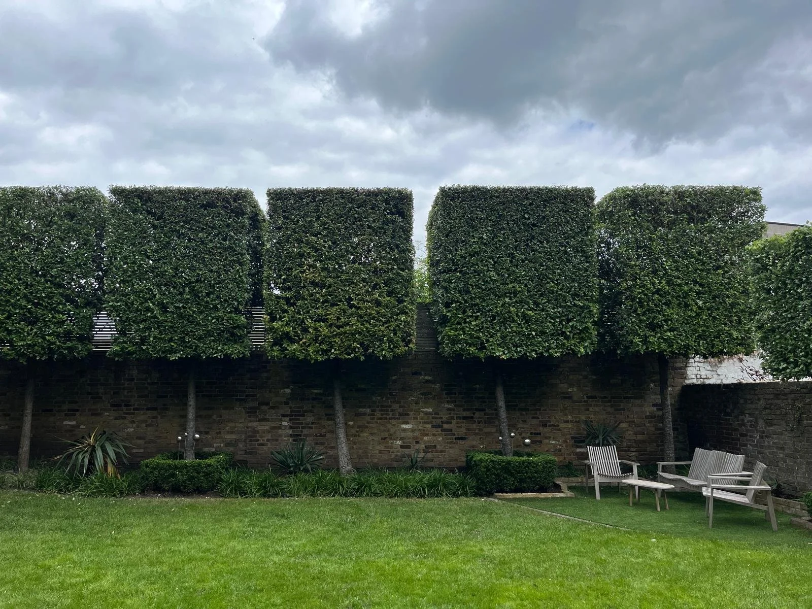 A garden with four neatly trimmed square trees behind a brick wall, and three wooden benches on the grass in front of the wall. Cloudy sky overhead.