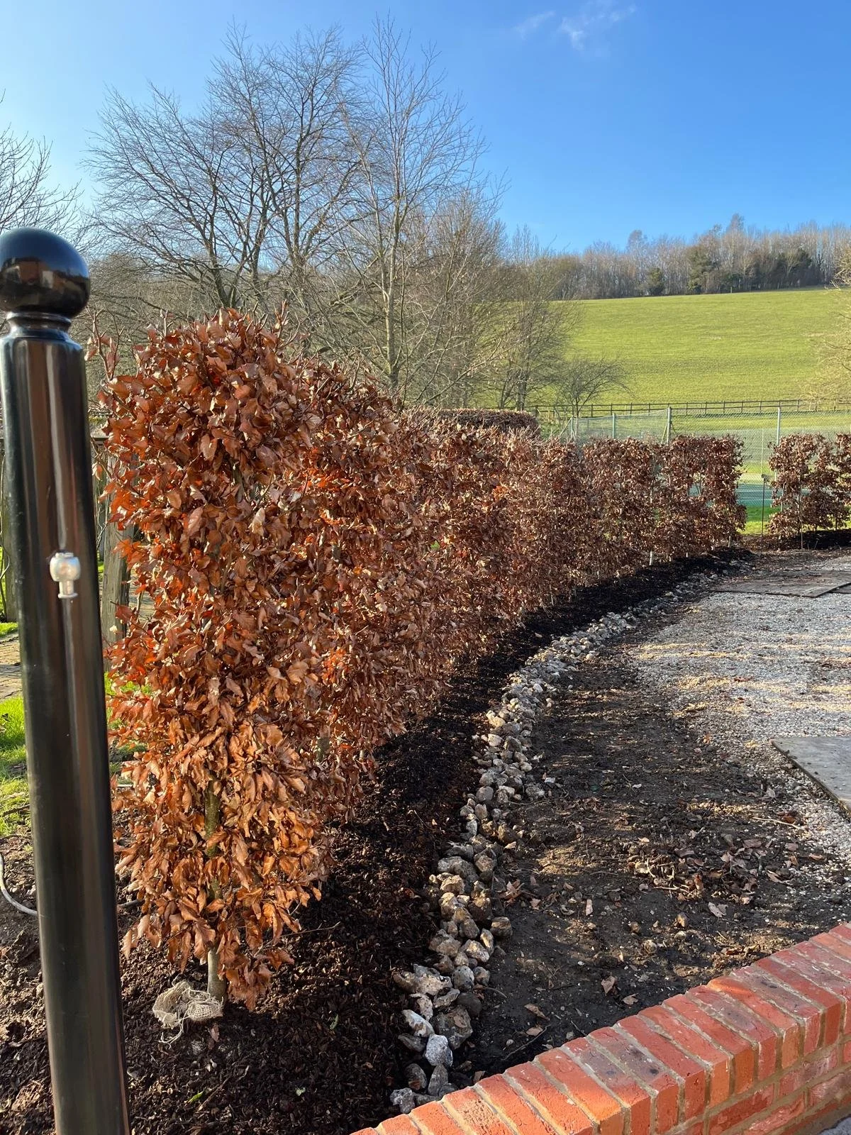 A garden with a row of reddish-brown hedges along a dirt path, a black metal garden fence post on the left, a brick border at the bottom, and a grassy hill in the background with leafless trees under a clear blue sky.