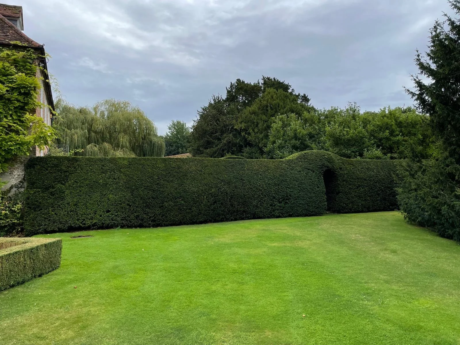 Well-maintained green lawn with neatly trimmed hedges and trees, including a large hedge with a small arch-shaped opening, under a cloudy sky.