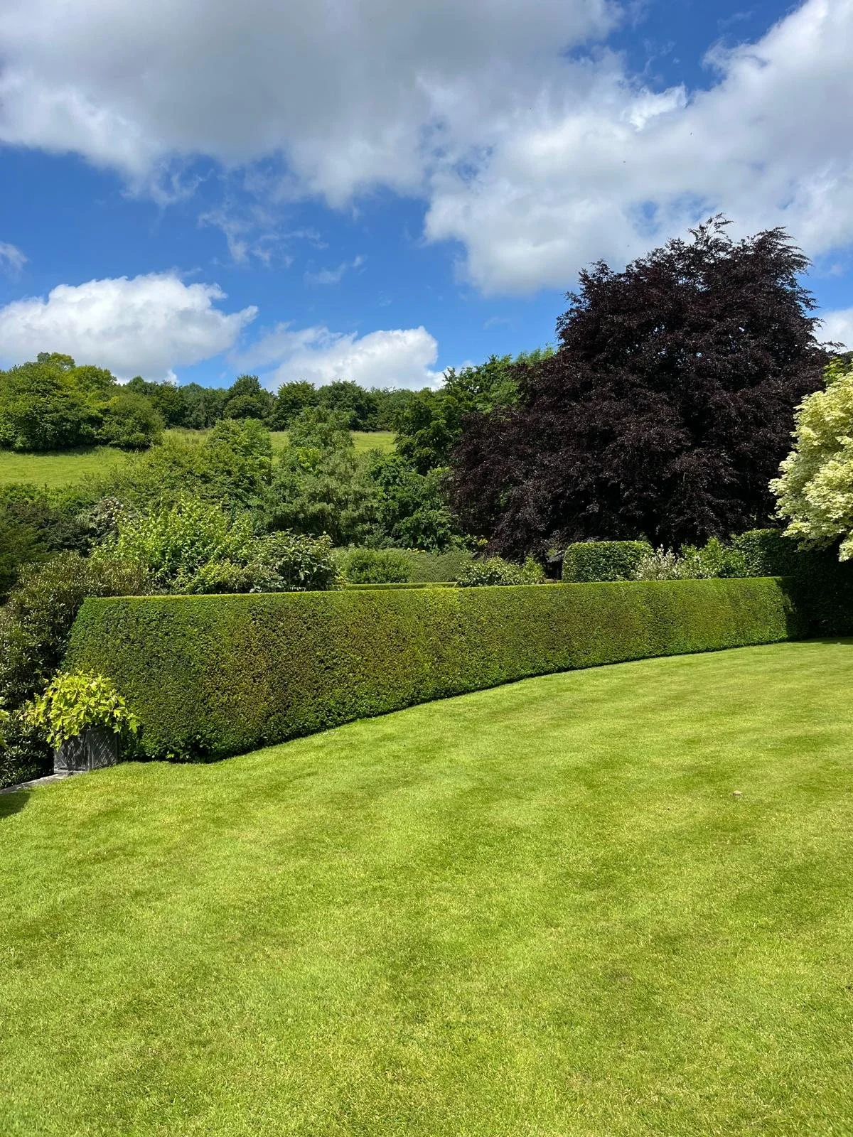 PHOTO-2026-02-12-22-36-22 16.jpg