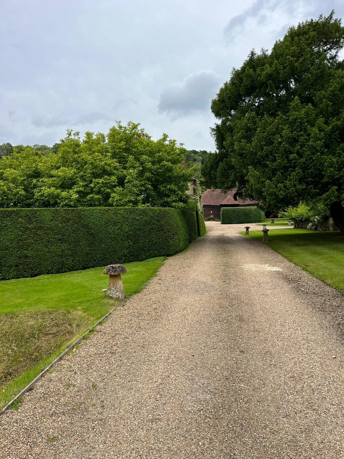 PHOTO-2026-02-12-22-36-22 26.jpg