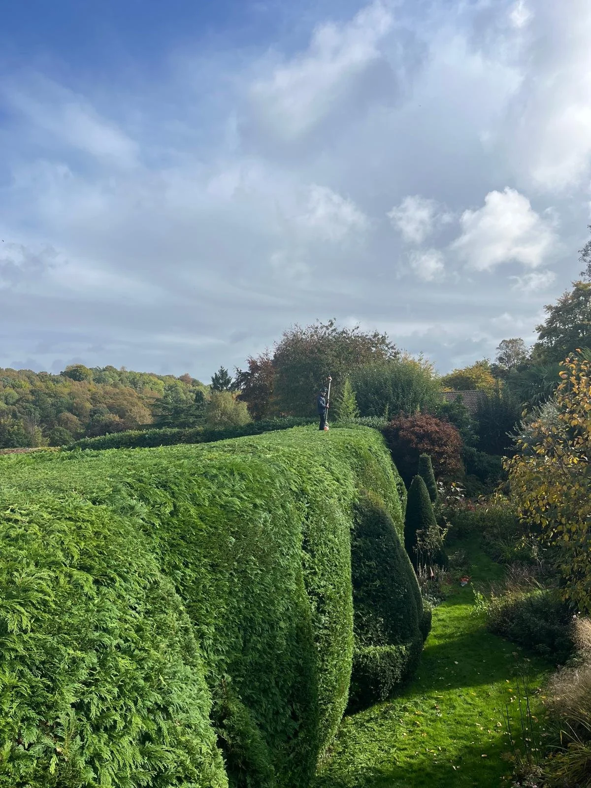 A person standing on the edge of a neatly trimmed hedge, with a backdrop of trees and a partly cloudy sky.