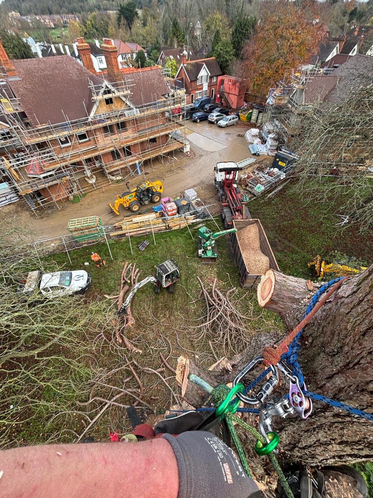 A person climbing a large tree with ropes and harnesses, overlooking a construction site and neighboring houses with scaffolding and equipment.