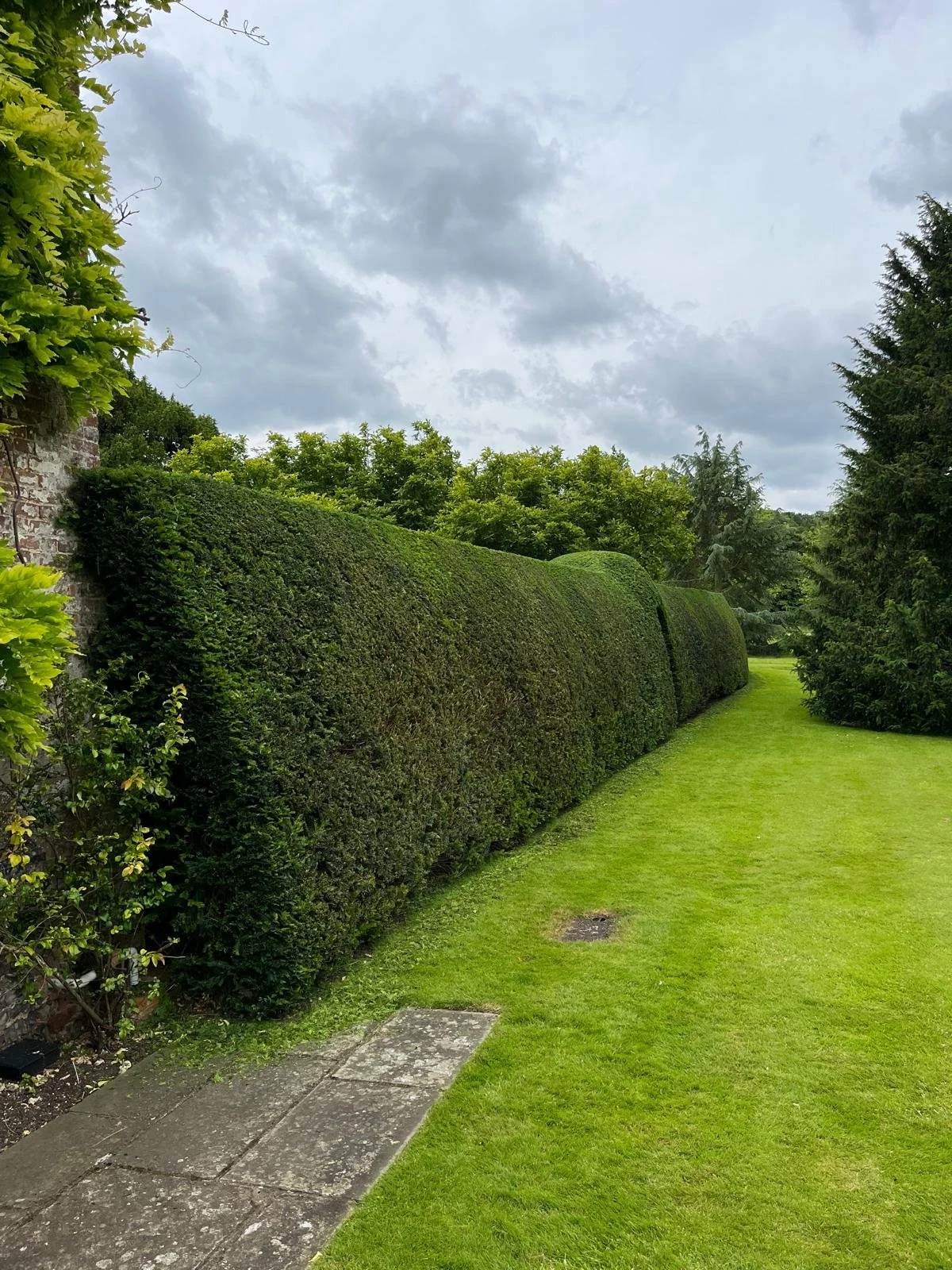 A neatly trimmed hedge along a stone pathway on a well-maintained lawn, with a cloudy sky overhead.
