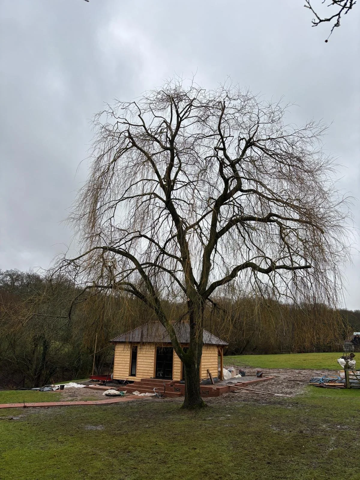 PHOTO-2026-02-12-22-21-32 2.jpg