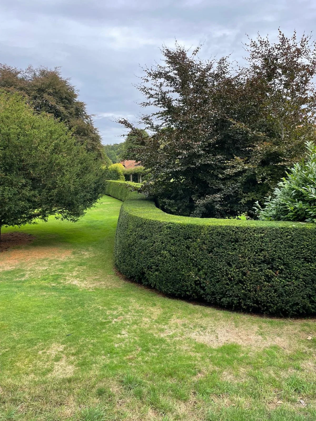 Well-maintained green lawn with neatly trimmed hedges and trees under a cloudy sky.