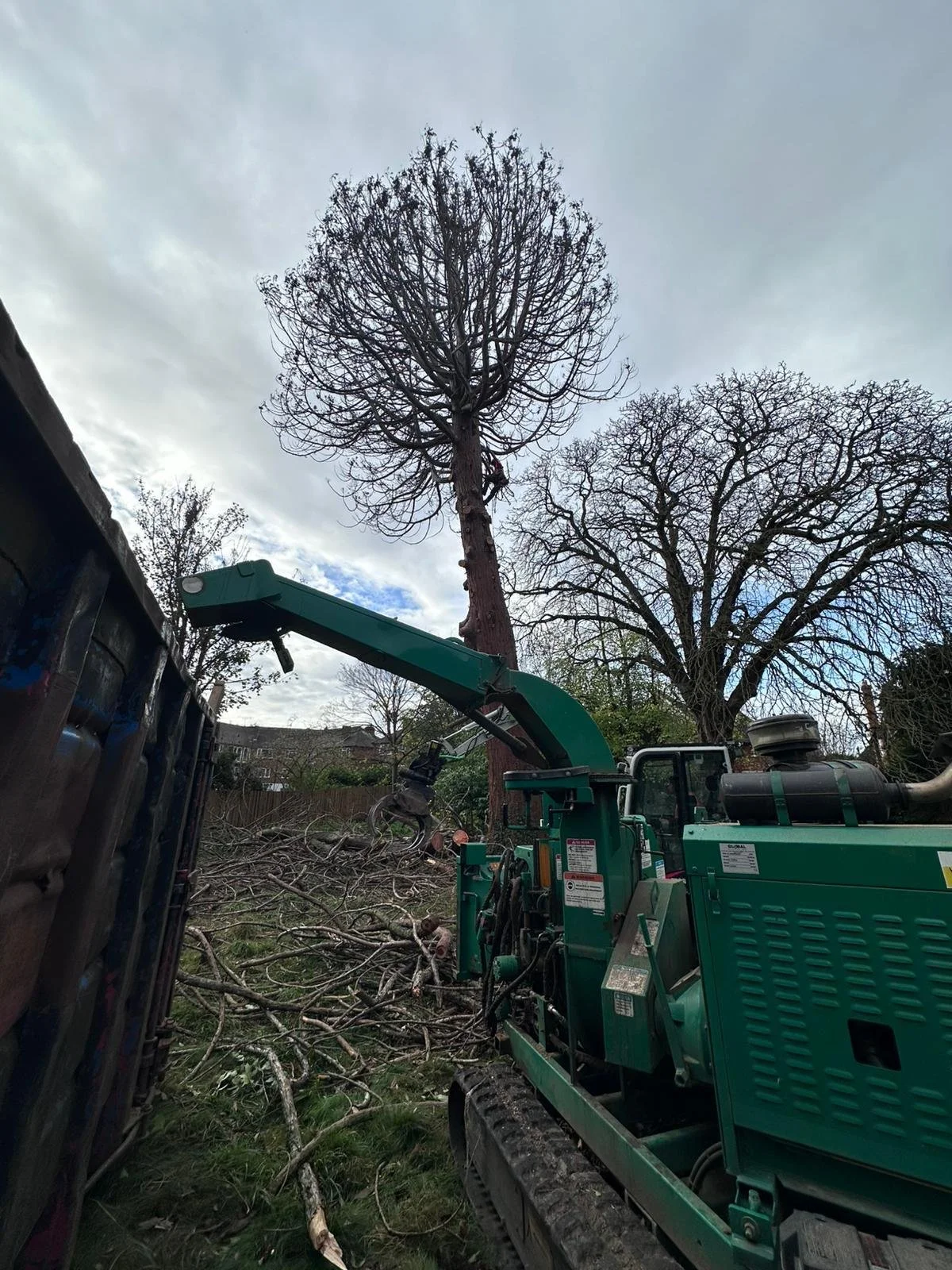 A tree removal machine cutting down a tall tree in a backyard with fallen branches and trees, cloudy sky background.